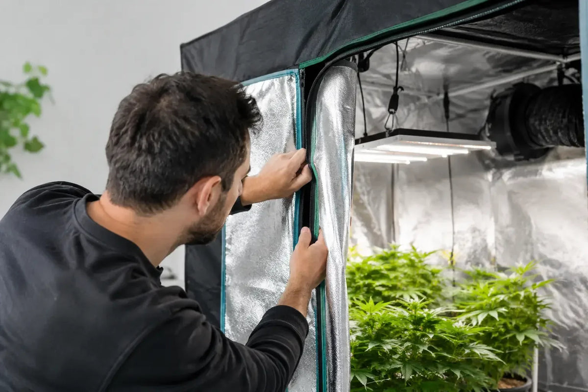Wie verhindere ich Lichtlecks im Growzelt?