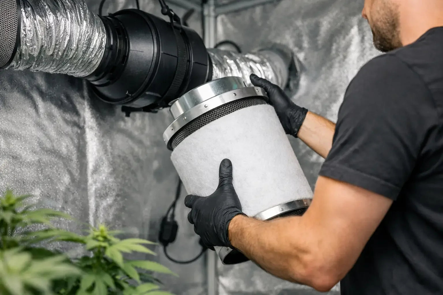 Aktivkohlefilter wechseln im Growzelt richtig