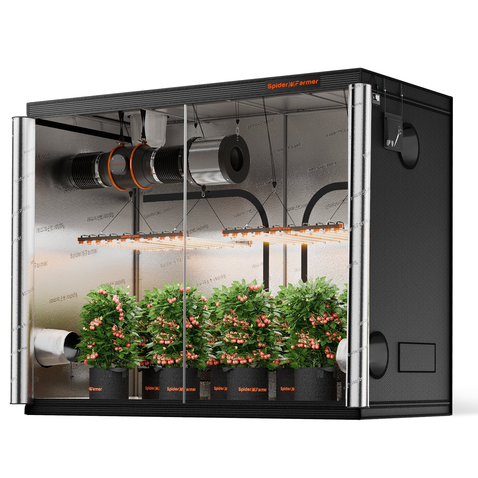 Growbox (300x150x200 cm)
