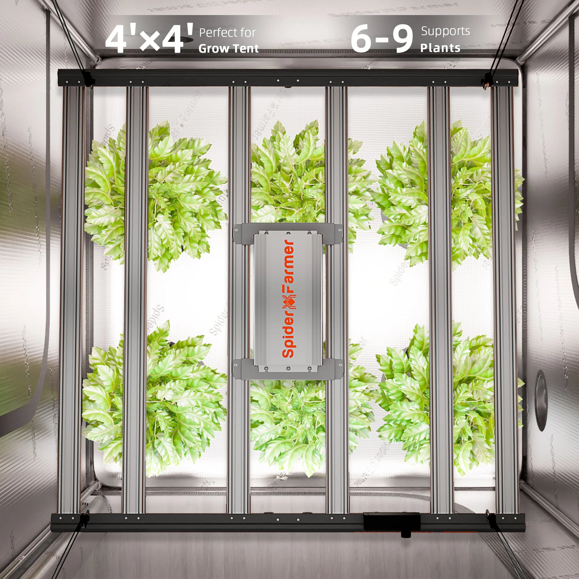 Komplettset (120x120x200 cm) 480 Watt G5000 EVO LED mit GGS für smarte Steuerung
