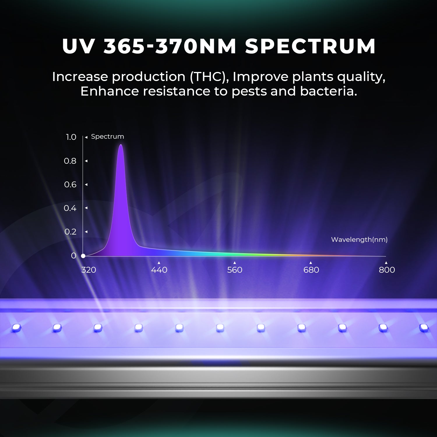 ADlite UV und IR LED Zusatzbeleuchtung 84 Watt