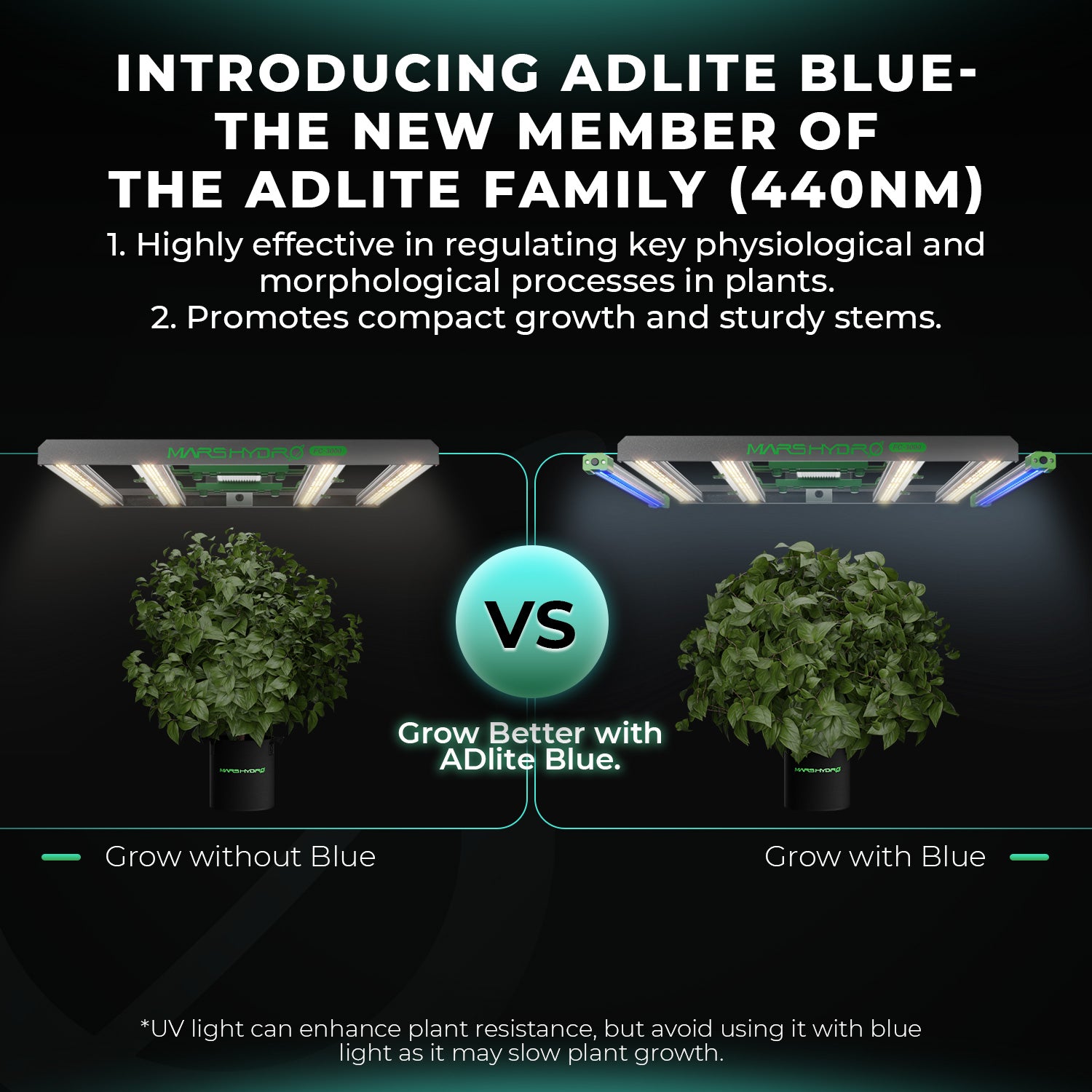 ADlite Rot und Blau LED Zusatzbeleuchtung 60 Watt