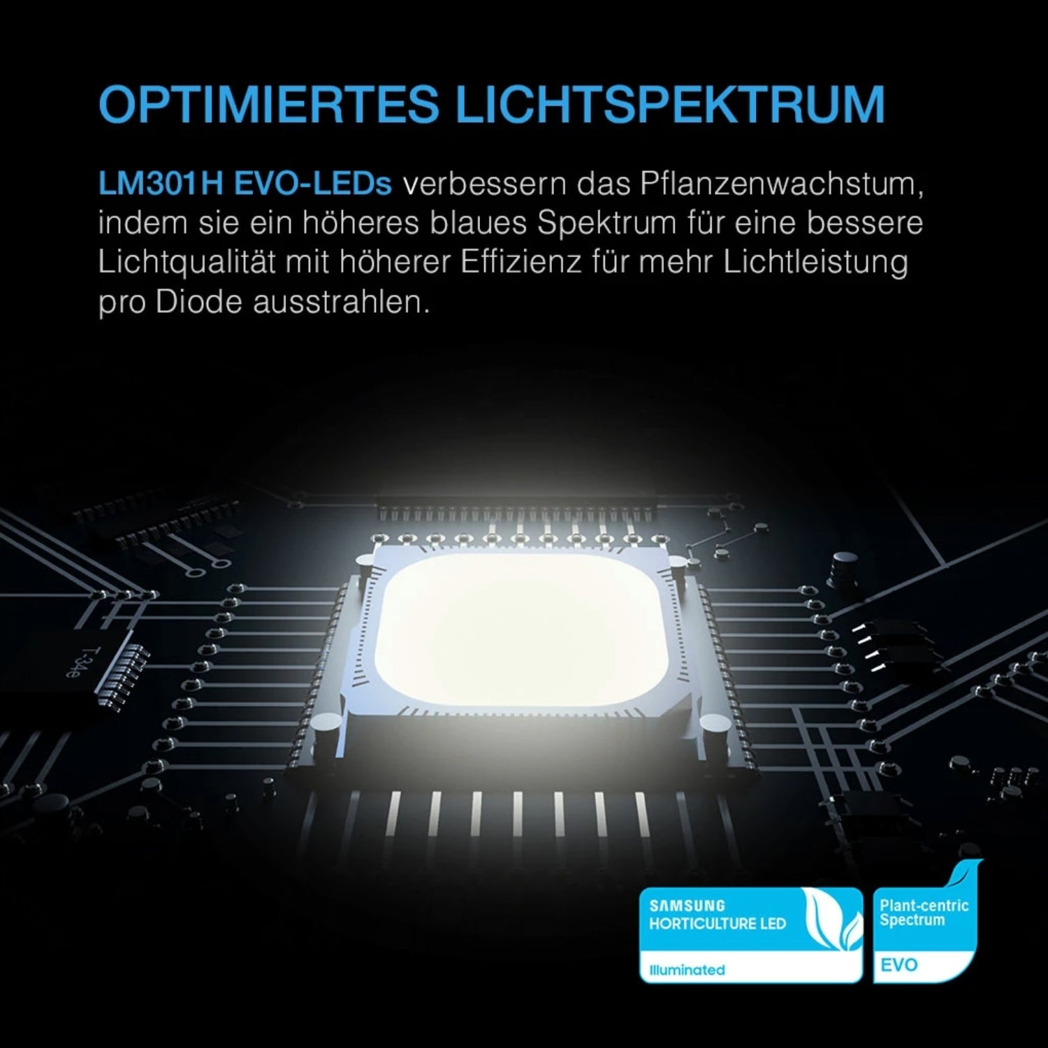 IONFRAME EVO8 LED 730 Watt