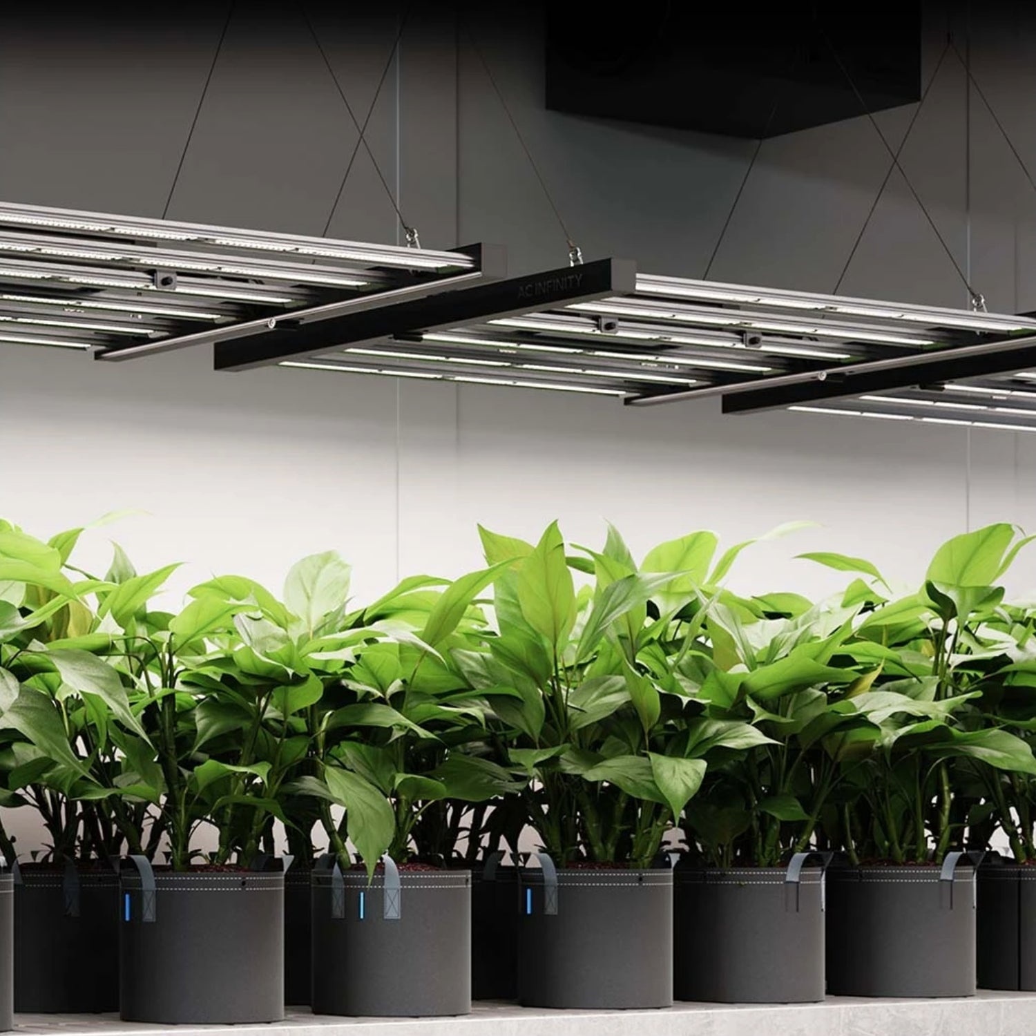 IONFRAME EVO8 LED 730 Watt