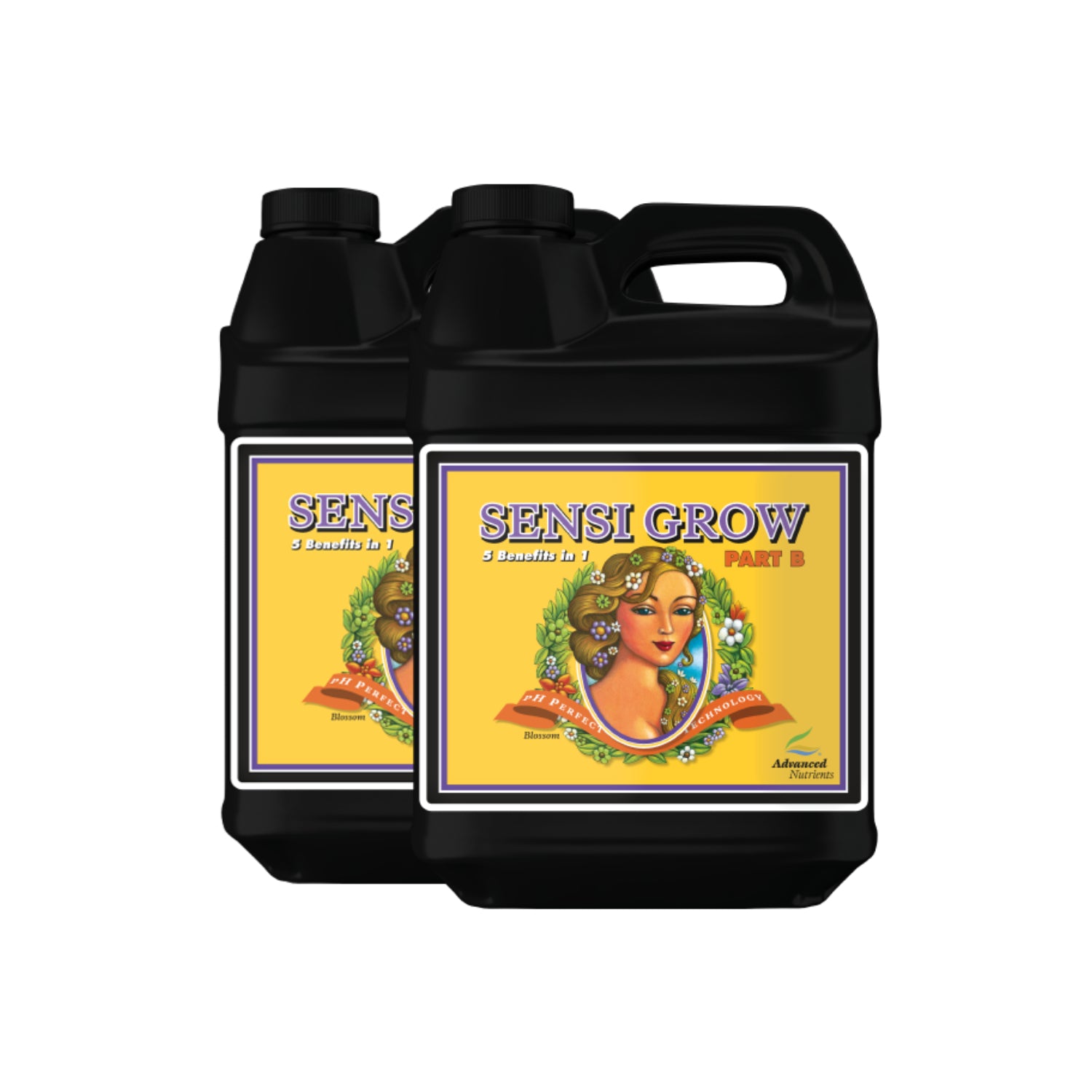 Advanced Nutrients pH Perfect Sensi Grow A & B – Wachstumsdünger mit pH -Regulierung