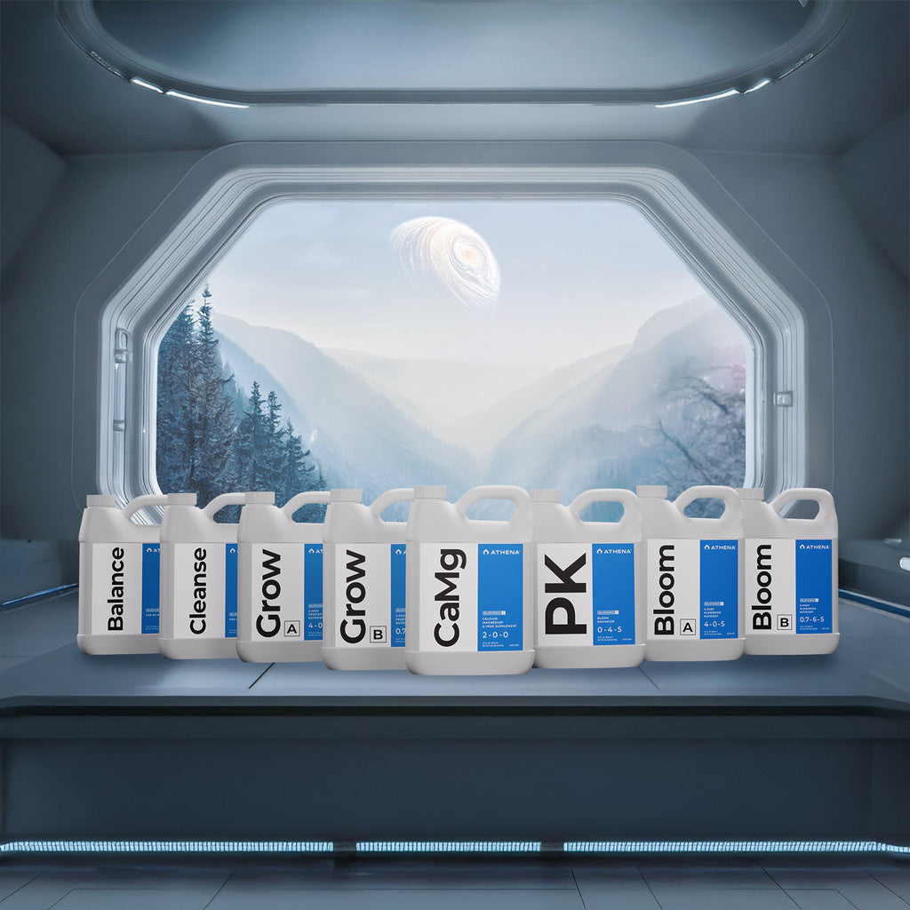 Blended Line Starter Kit