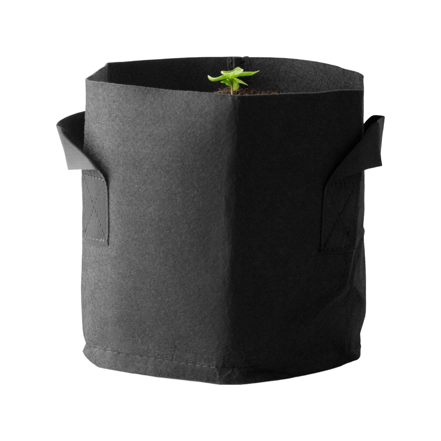 Komplettset (80x80x180 cm) 240 Watt Caluma Force LED