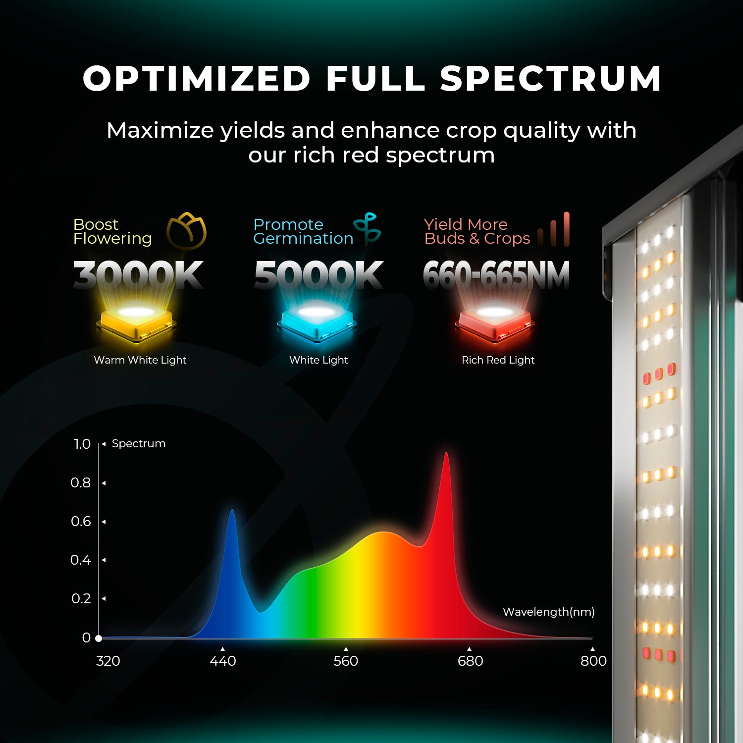 Komplettset (120x120x200 cm) 480 Watt EVO LED mit smarter Klimasteuerung