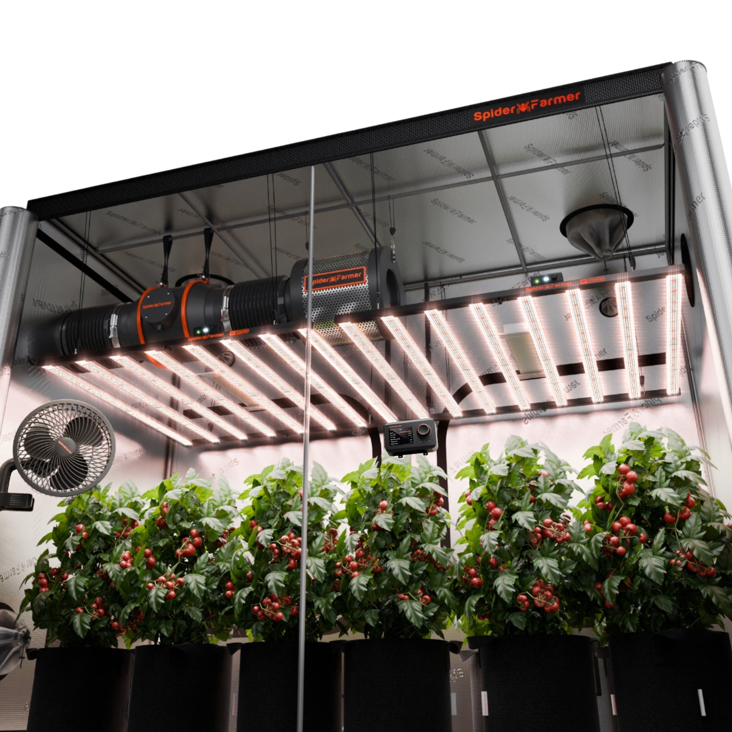 Komplettset (300x150x200 cm) 2000 Watt EVO LED mit GGS für smarte Steuerung