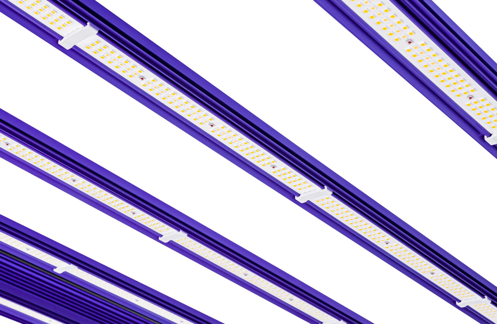 ZEUS PRO EVO 3.1 LED 1000 Watt B-Ware