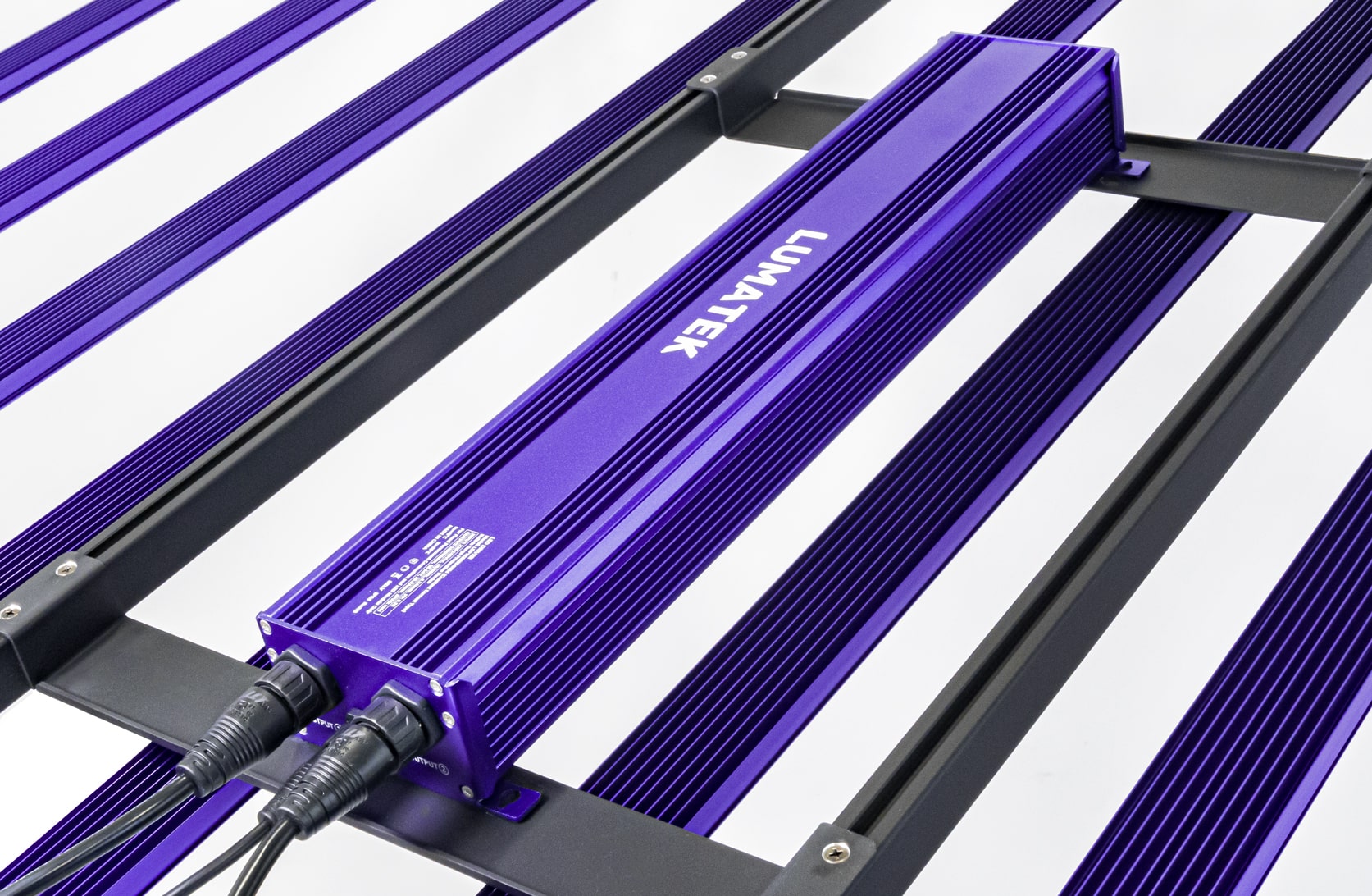 ZEUS PRO EVO 3.1 LED 1000 Watt B-Ware