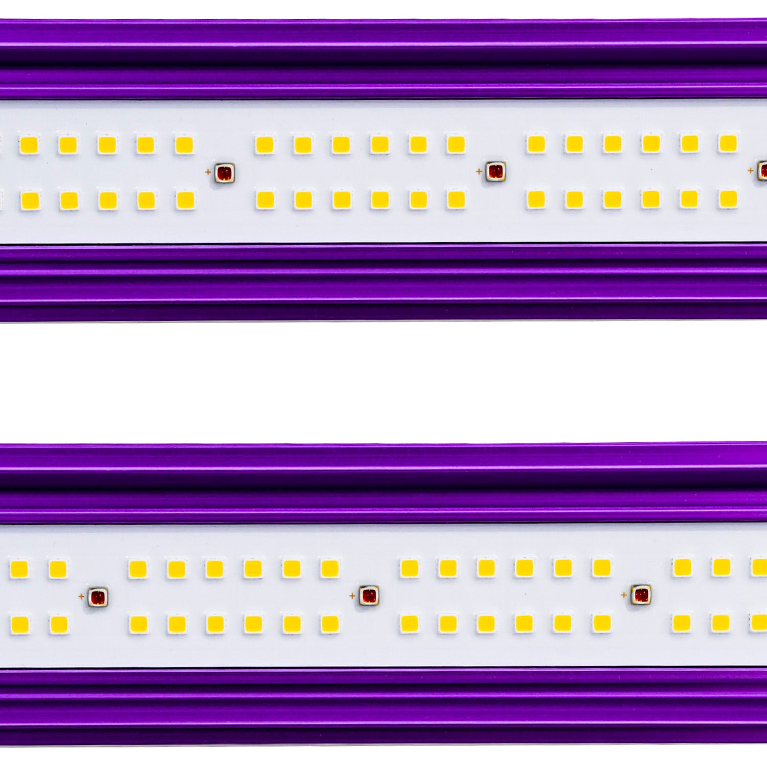 ZEUS Xtreme PPFD CO₂ LED 1000 Watt