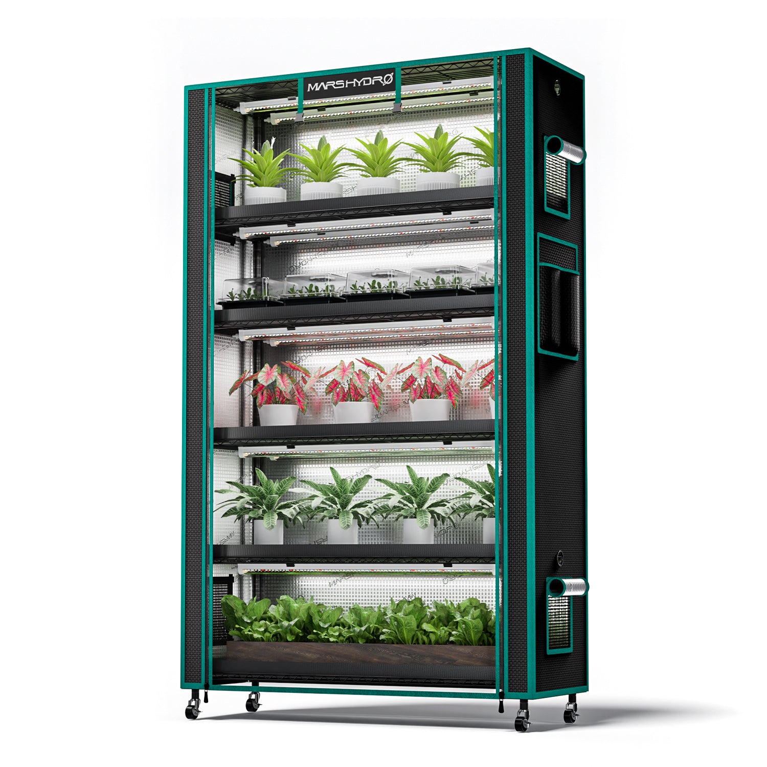Mars Hydro Anzucht/Stecklinge Komplettset (110x40x180 cm) 250 Watt