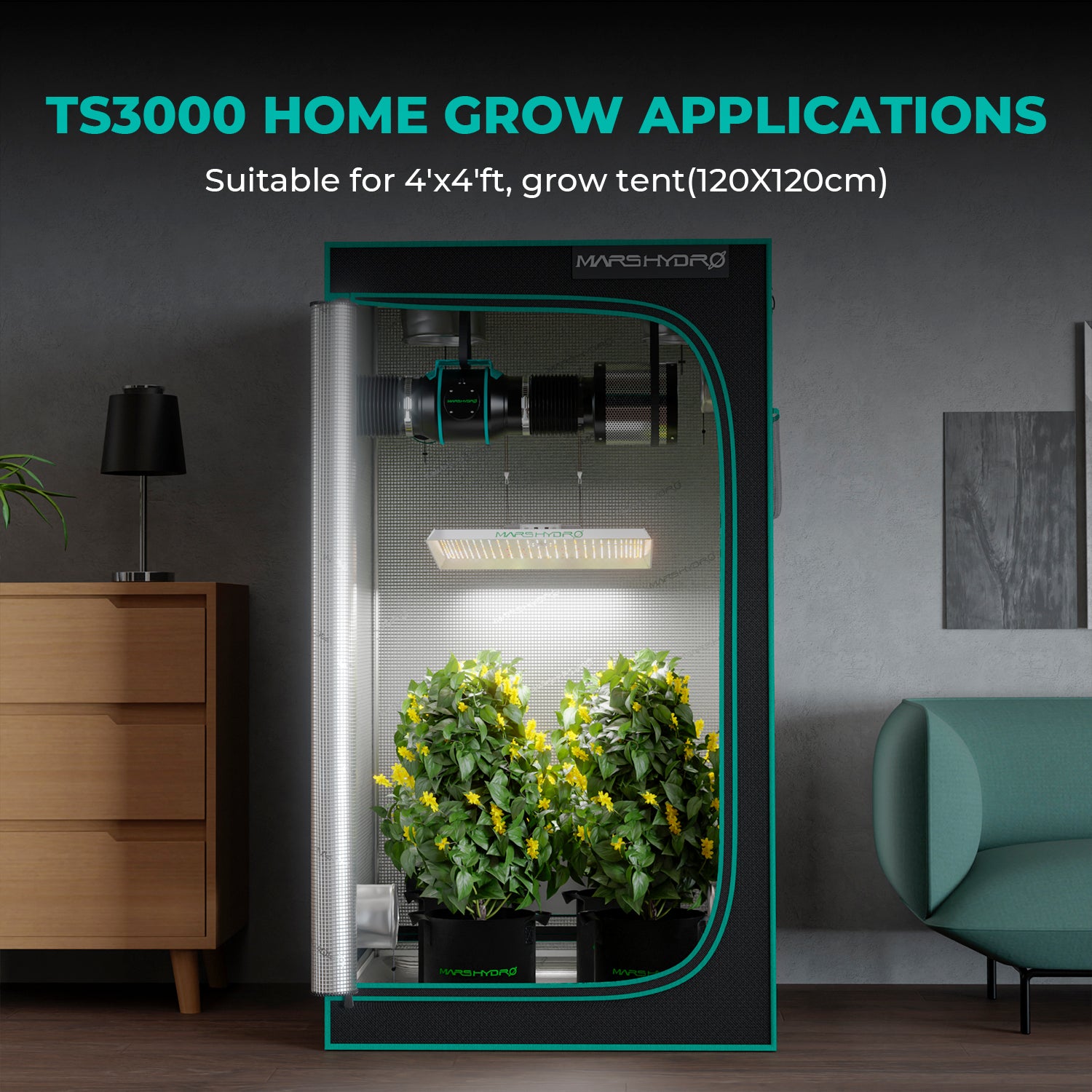TS 3000 LED 420 Watt