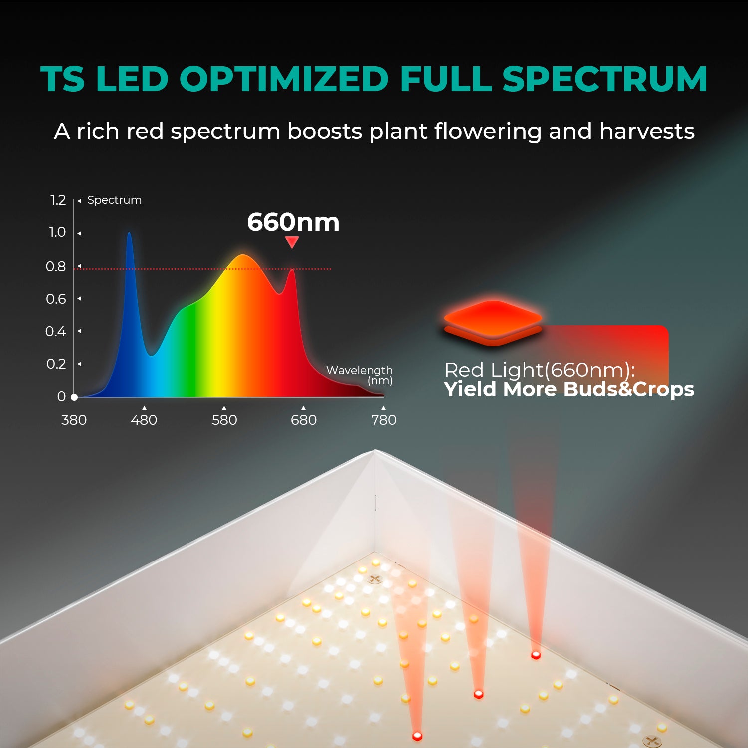 TS 3000 LED 420 Watt