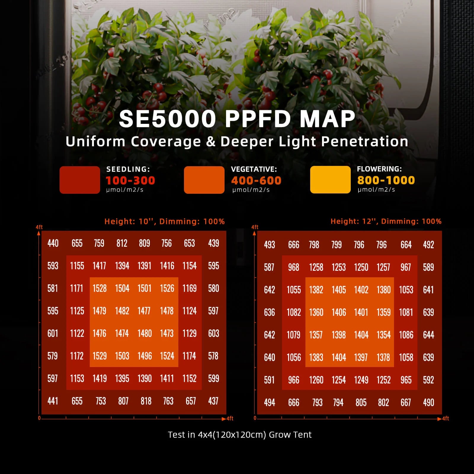 Komplettset (120x120x200 cm) 480 Watt SE5000 EVO LED mit GGS für smarte Steuerung