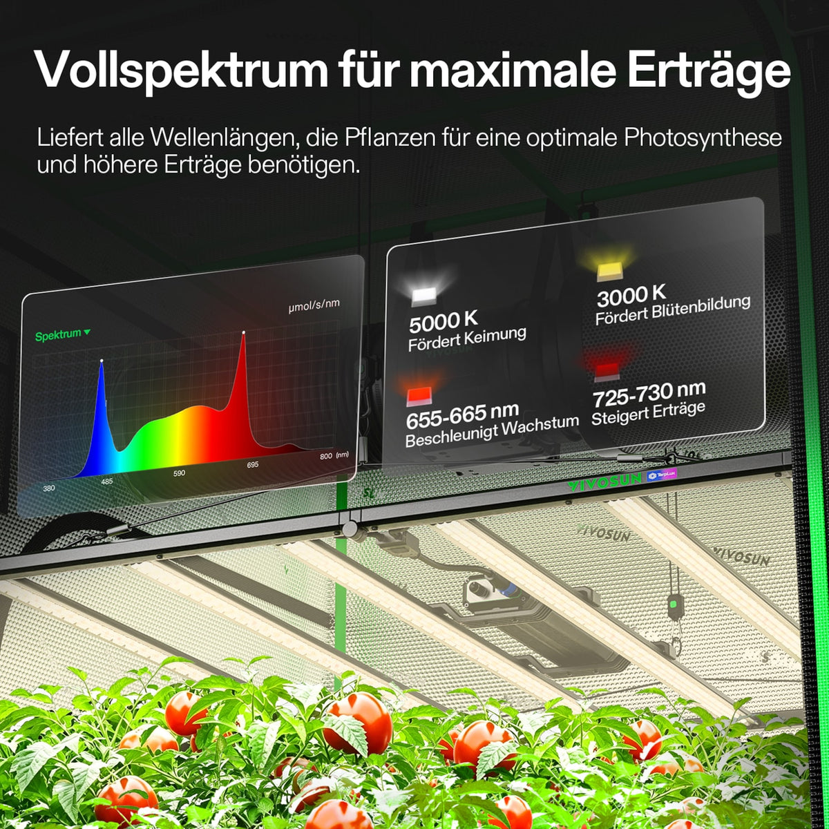 VIVOSUN AeroZesh G6 Abluftset und GrowHub