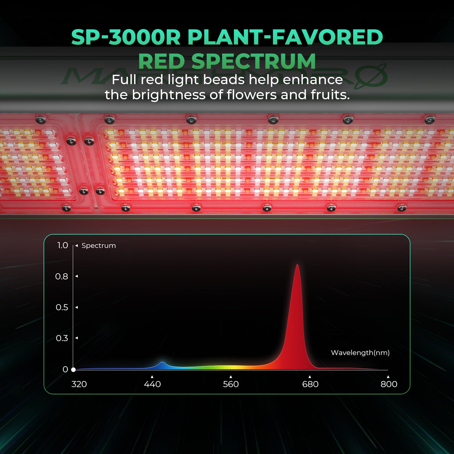 SP 3000R LED 300 Watt