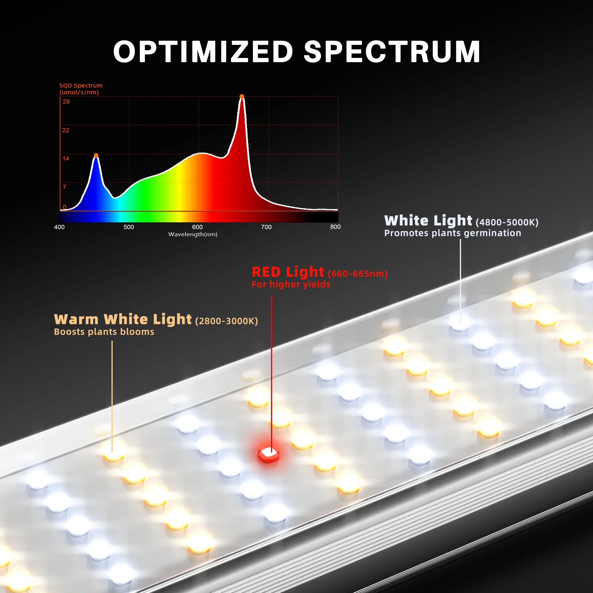 SE1000W EVO LED 1000 Watt