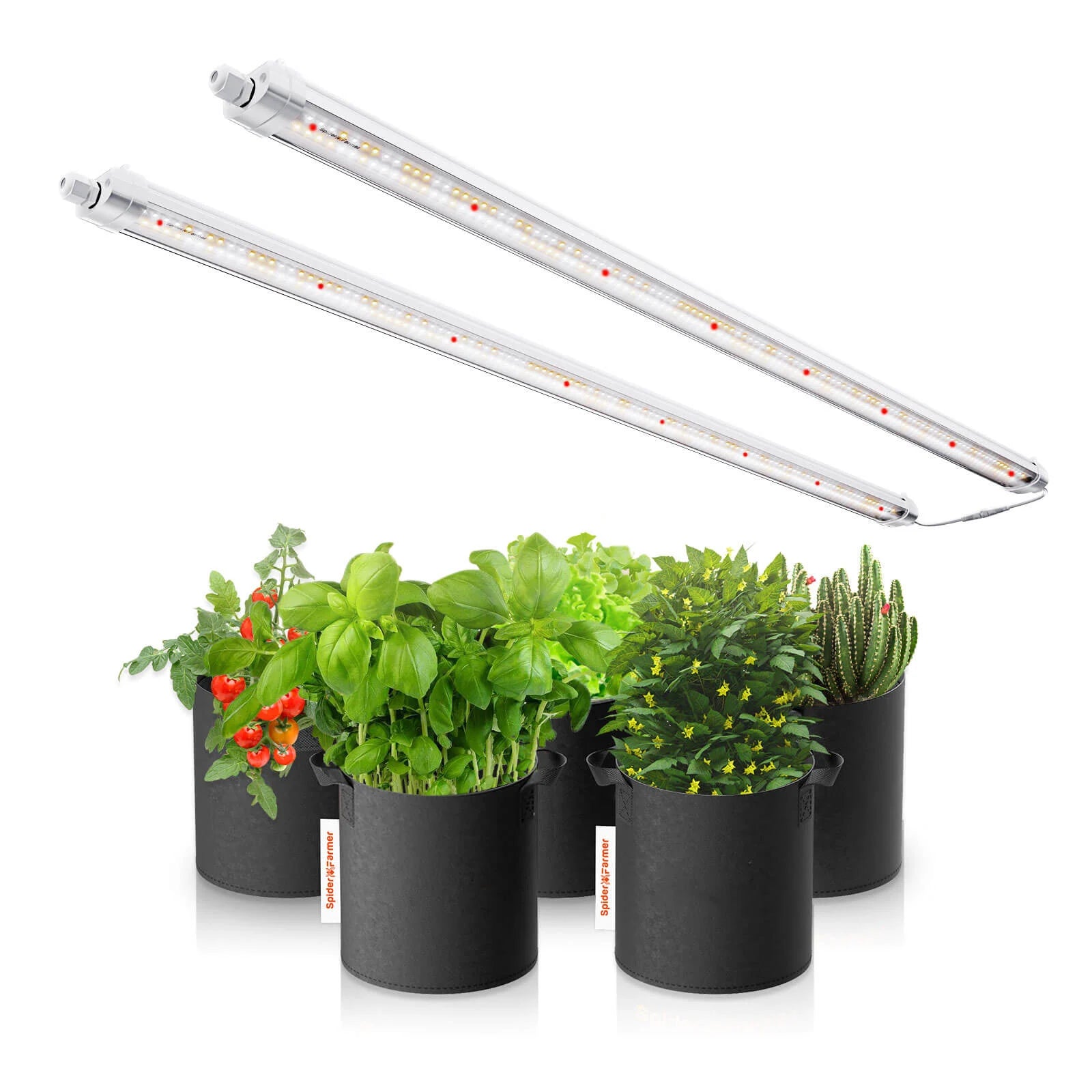 Spider Farmer Glow80 – 80W LED-Grow-Licht für Stecklinge & Vegetationsphase