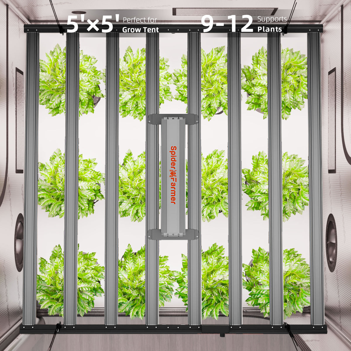 Spider Farmer G1000W Komplettset – Ausleuchtung auf 150x150 cm