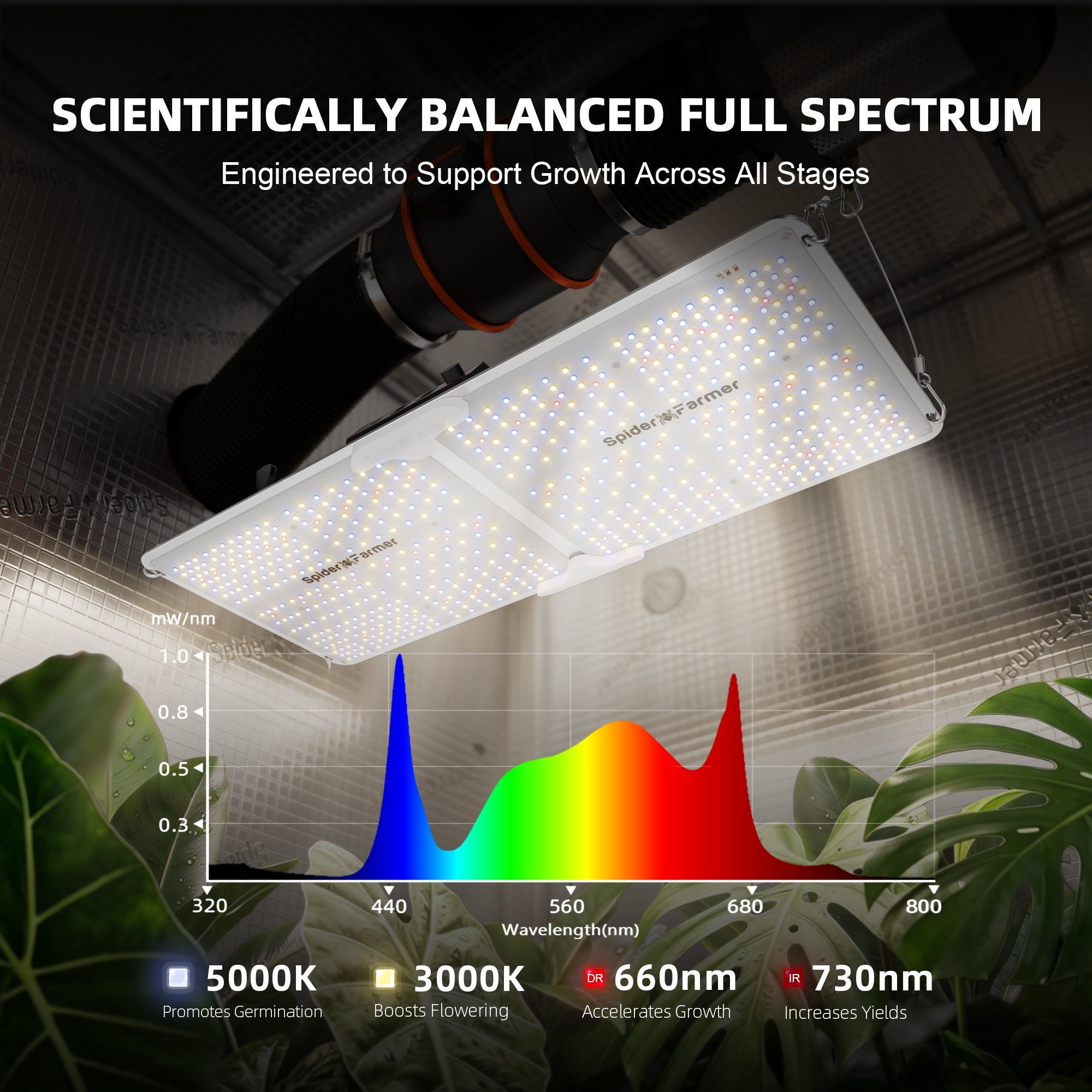 Spider Farmer SF2000 LED 200 Watt – Produktbild 2