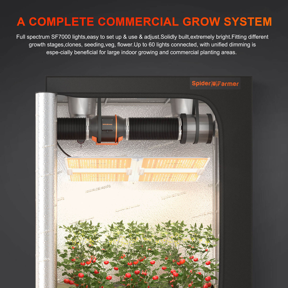 Spider Farmer SF7000 LED 650 Watt – Produktbild 7