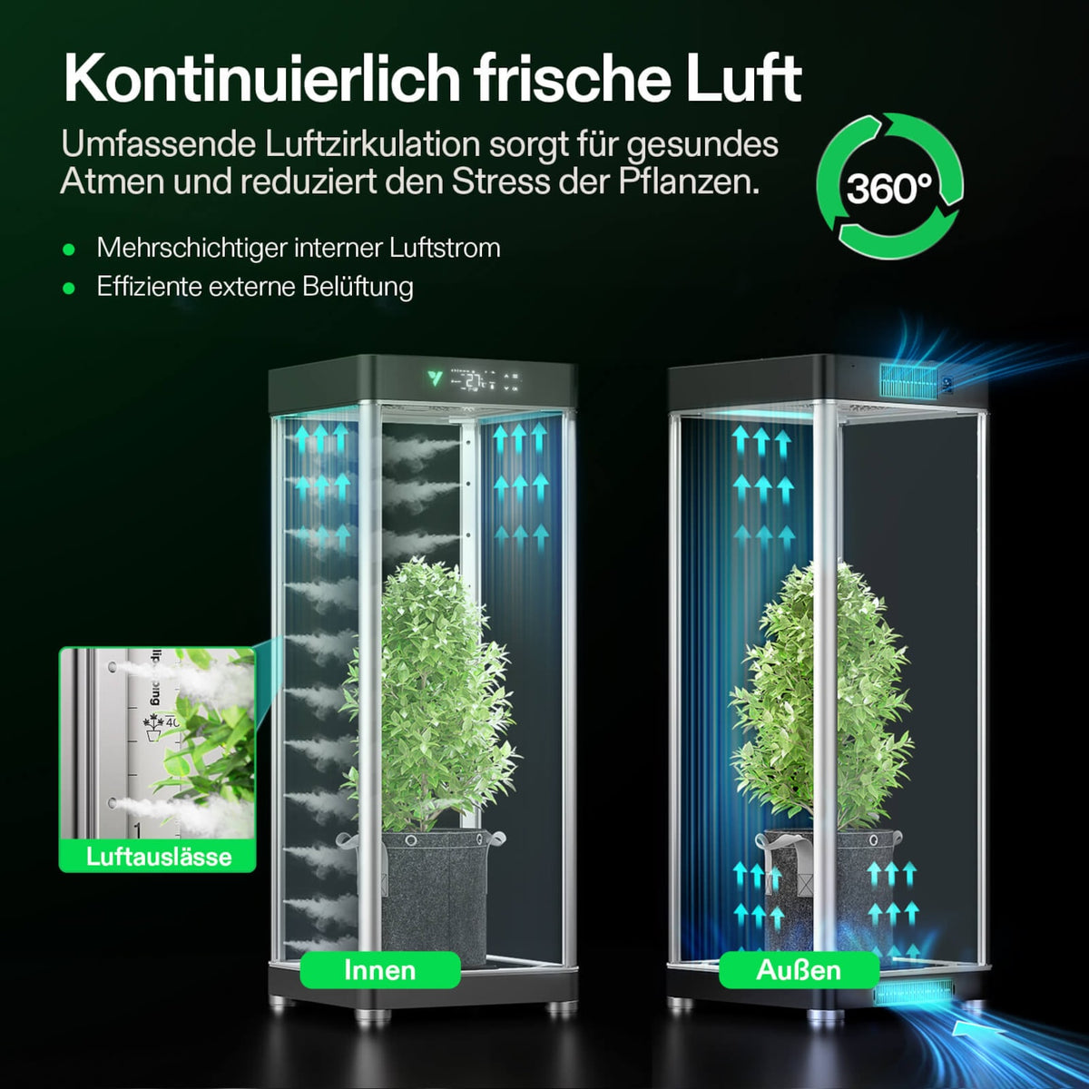 VGrow Y18 Smart Box & DWC Set – Innenansicht