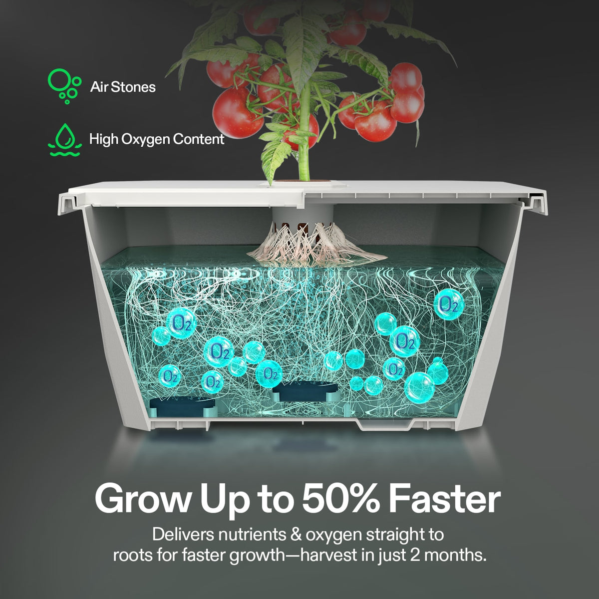 FlexFeed DWC Hydroponik-System 15 L mit 2 Eimern und Smart Controller – Galerie 3