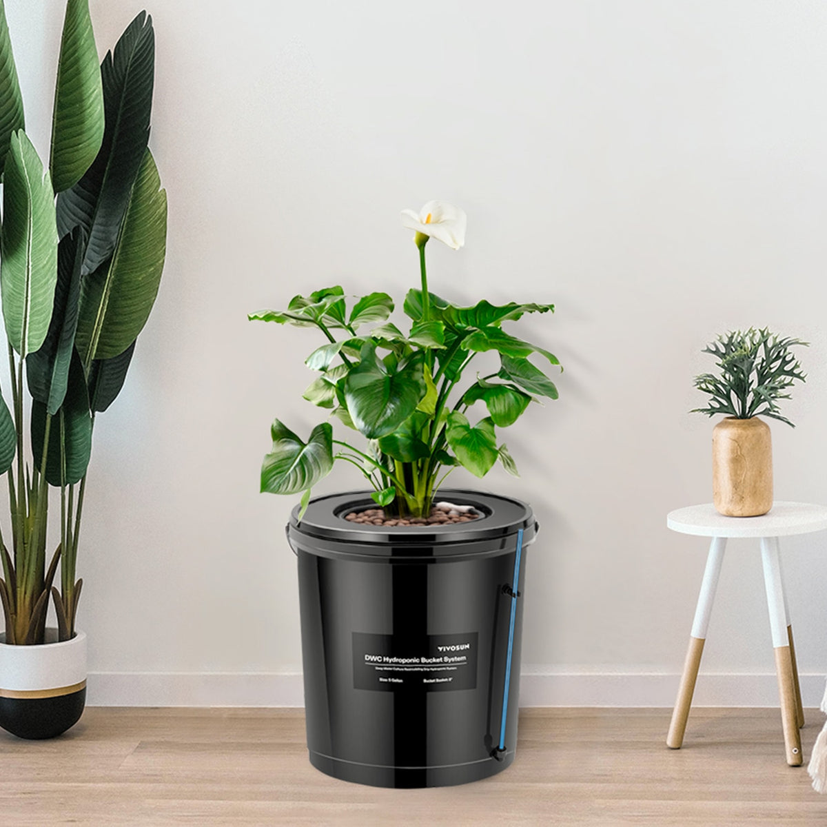 VIVOSUN DWC Hydroponiksystem mit 1 Topf 18,9 L – DWC-System in der Anwendung