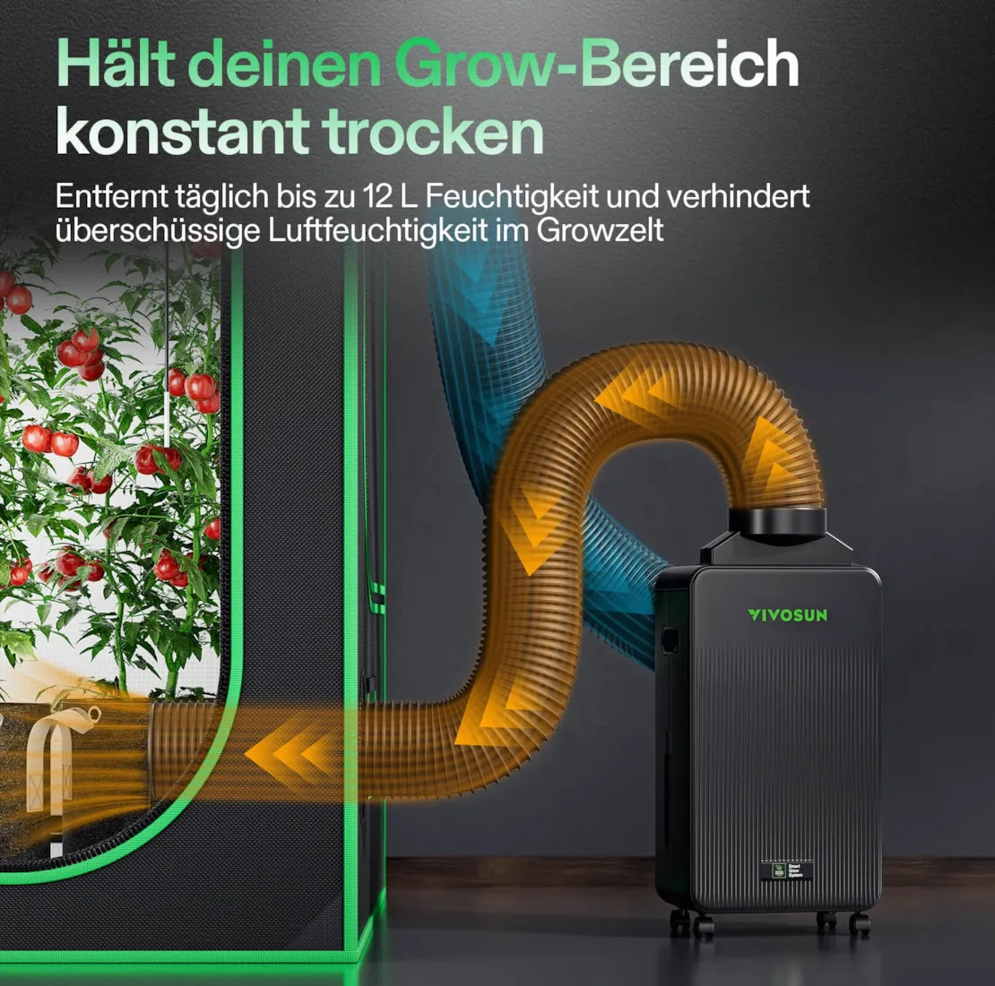 AeroDrain D12 smarter Luftentfeuchter 300 Watt und 2 Liter Tank