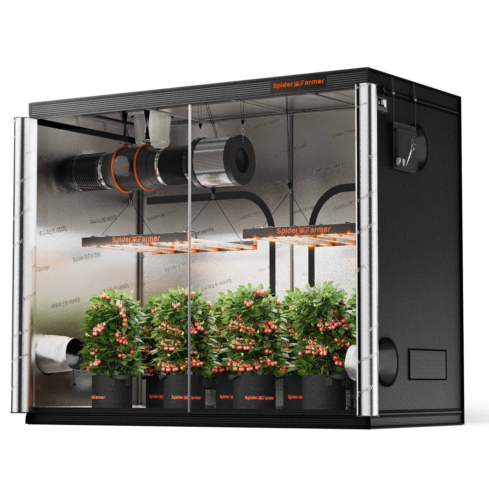 Growbox (240x120x200 cm)