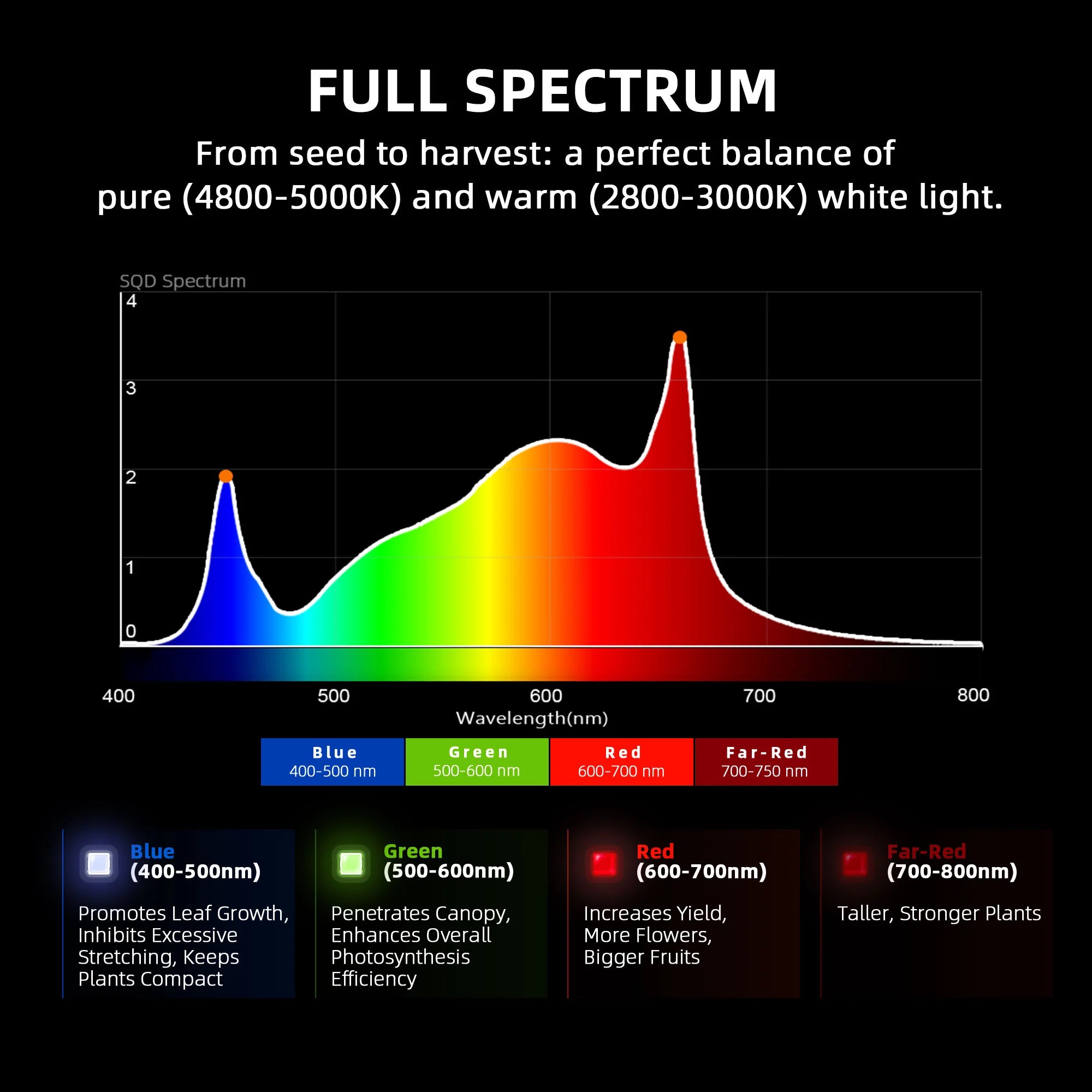 Komplettset (70x70x160 cm) 150 Watt EVO LED mit Klimasteuerung