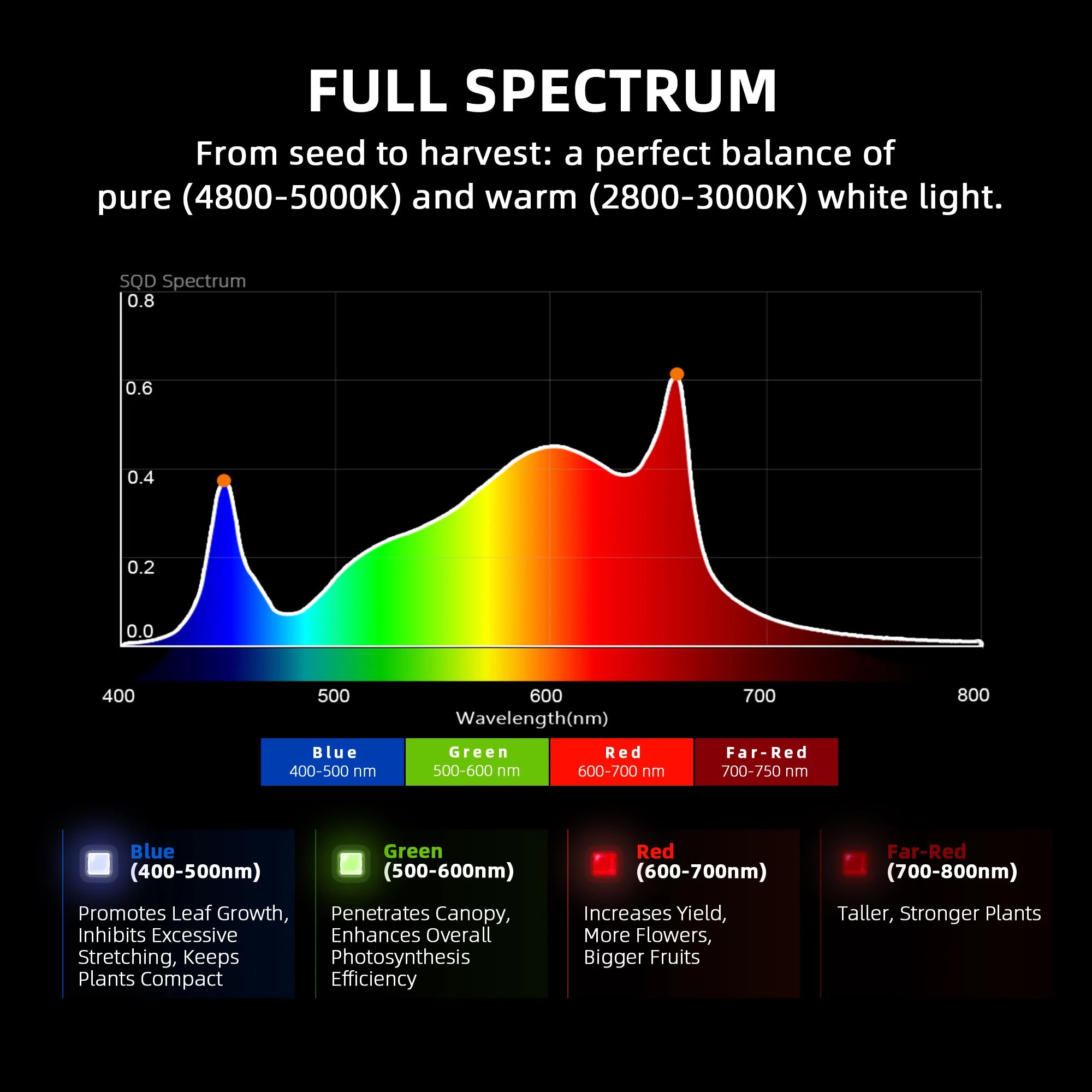 Komplettset (90x90x180 cm) 300 Watt EVO LED