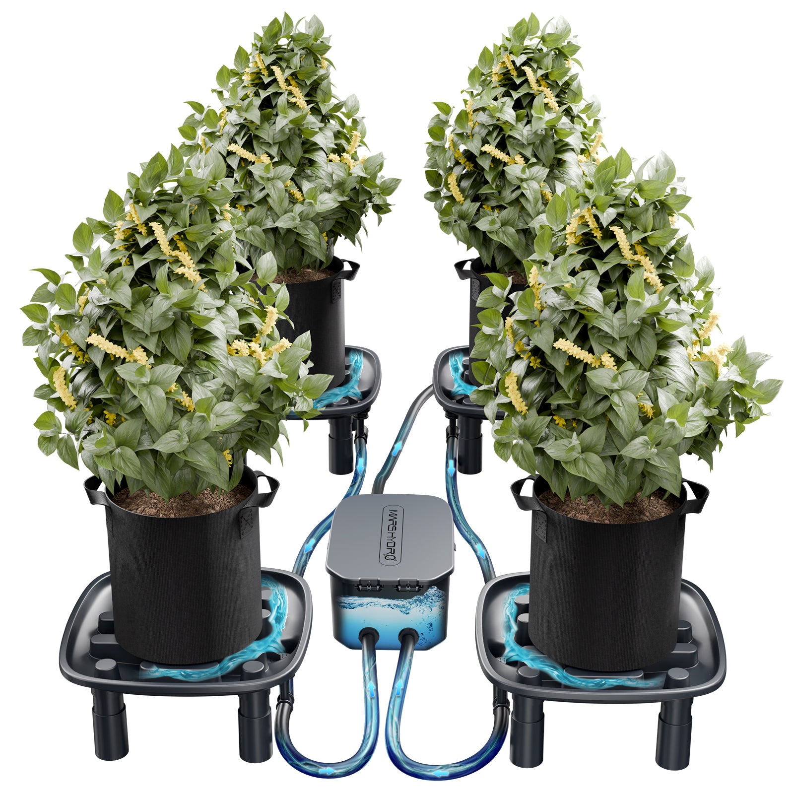 bambus automatisch bewässern Mars Hydro Auto Drainage System 4er-Set – Automatische Wasserableitung