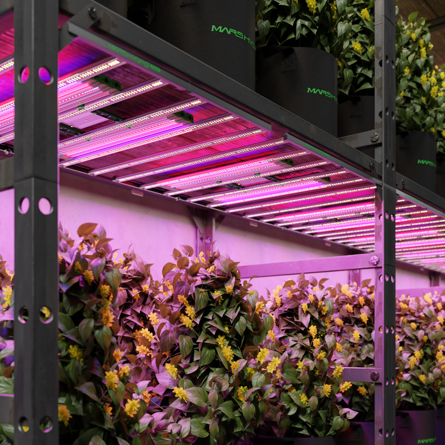 ADlite UV und IR LED Zusatzbeleuchtung 84 Watt