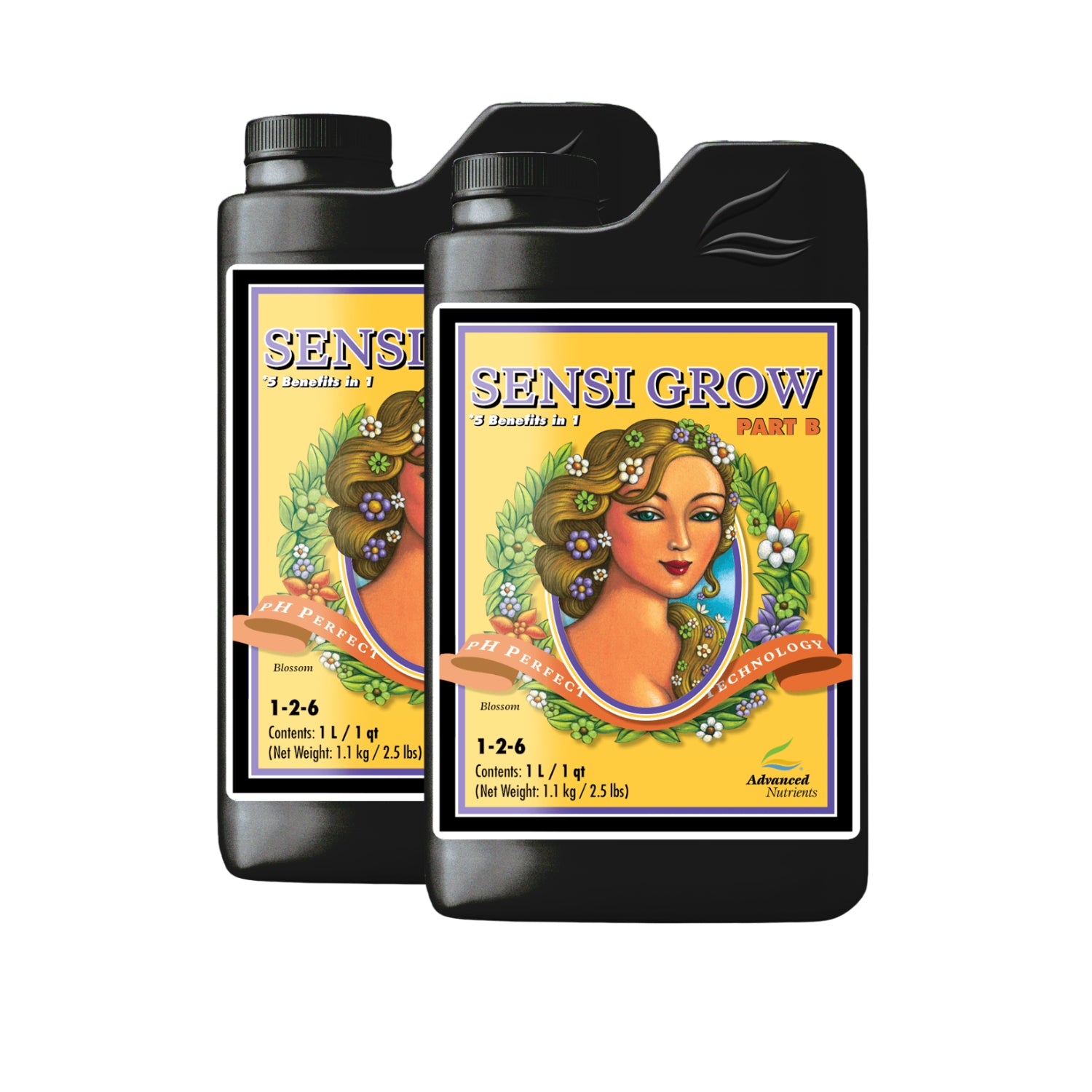 pH Perfect Sensi Grow A + B Wachstumsdünger