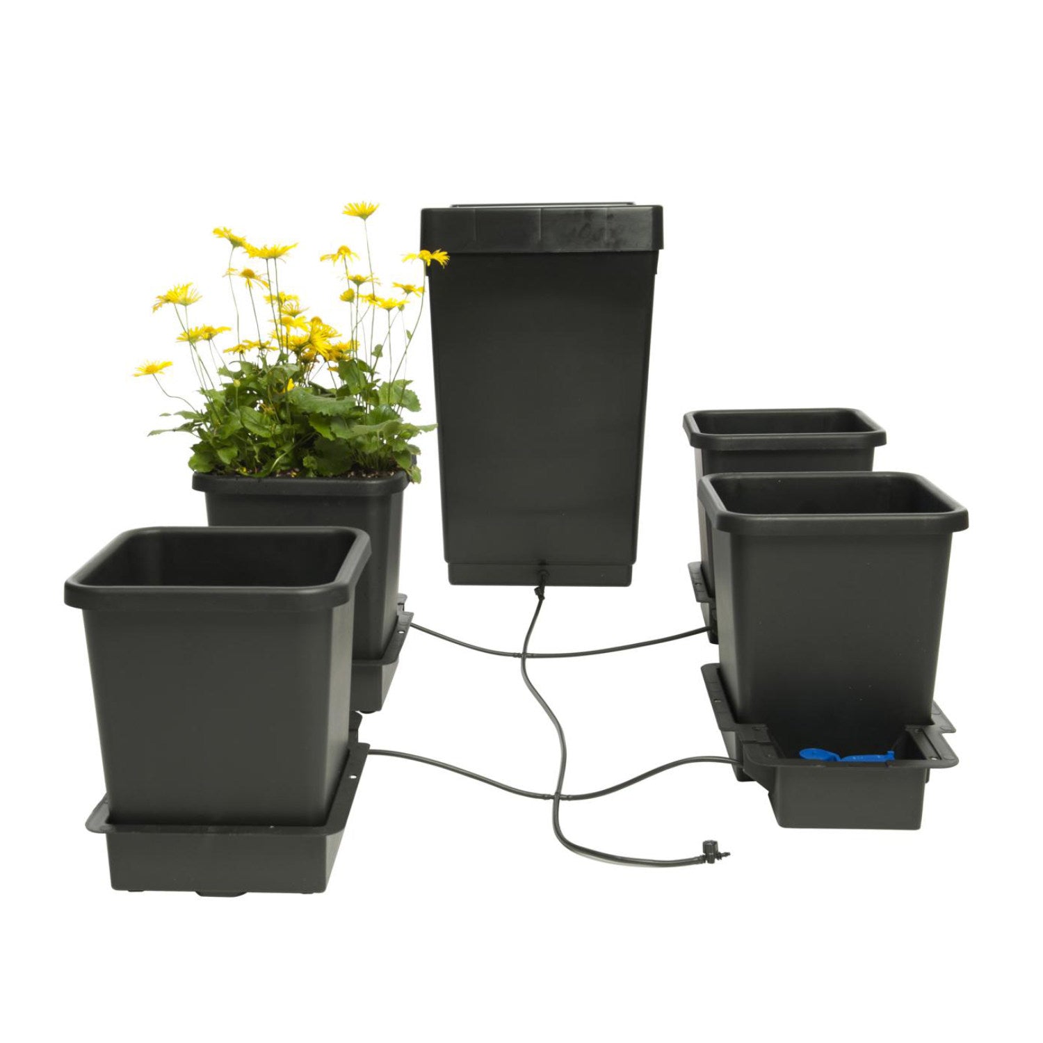 AutoPot1Pot Bewässerungssystem Komplettset mit 4 Töpfen