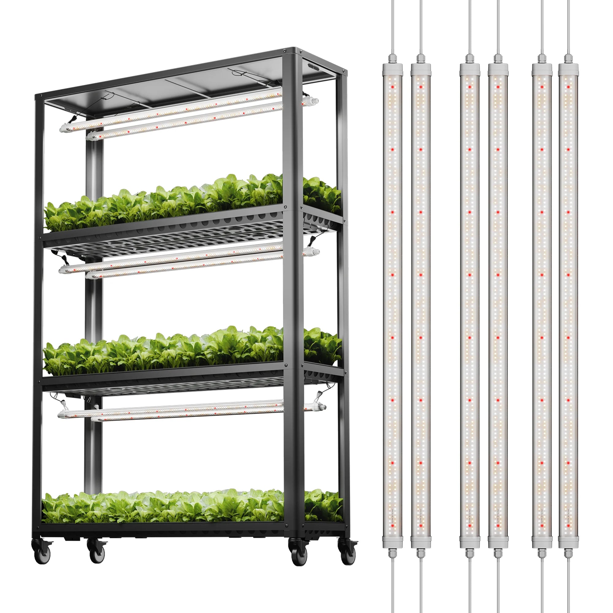 Anzucht/Stecklinge Pflanzenregal (118x40x180 cm) mit 3x Glow80 LEDs 240 Watt