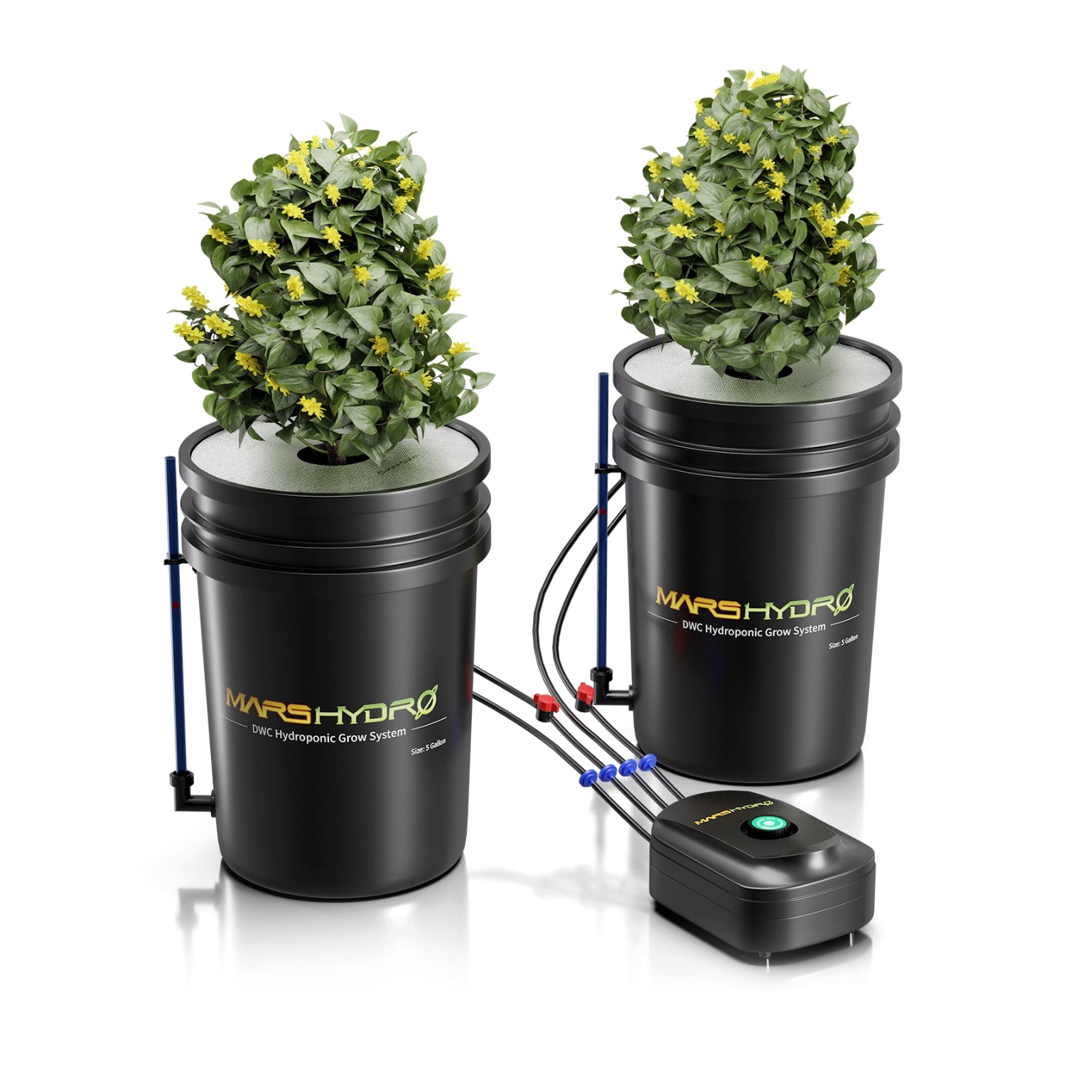 Tiefwasserkultur (DWC) Hydroponik-System mit 2 Töpfen