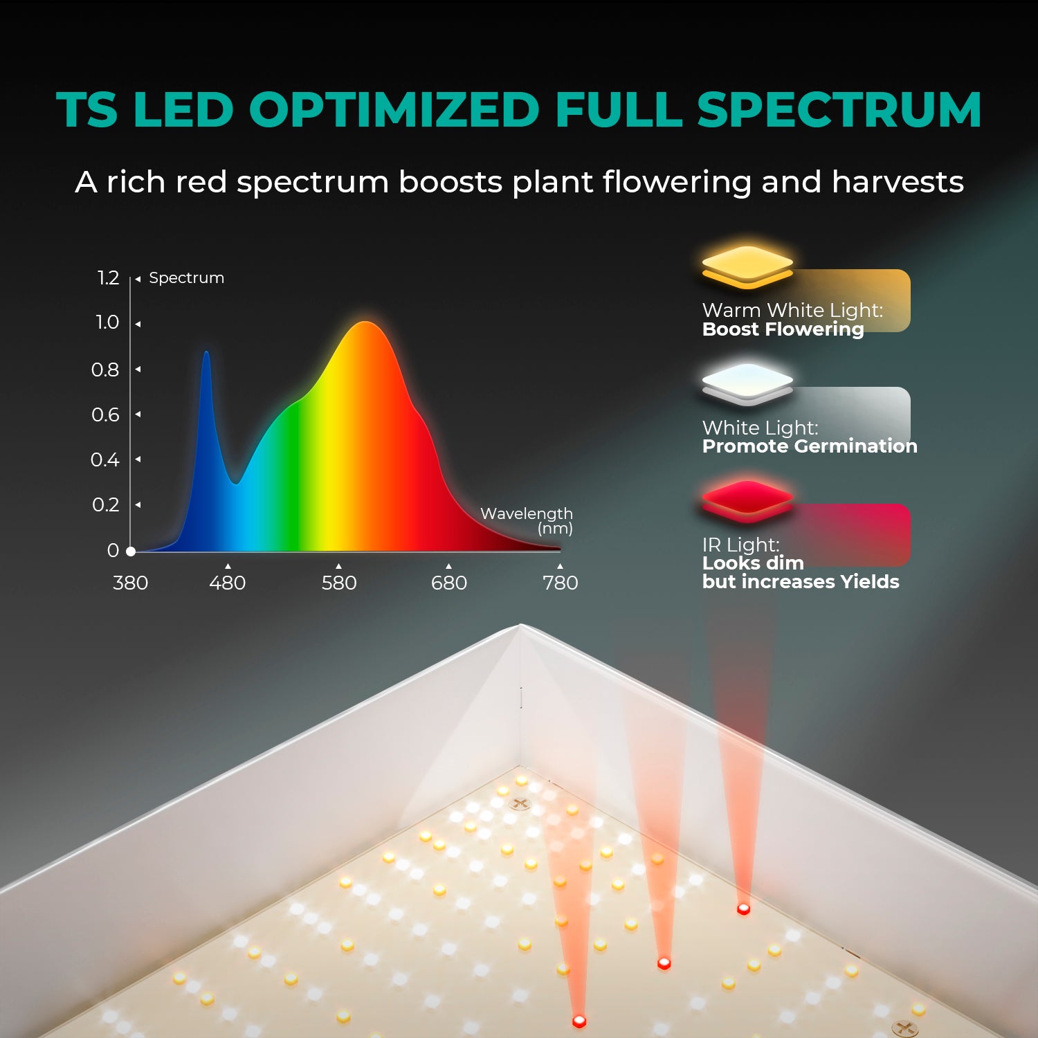 Komplettset (60x60x140 cm) 100 Watt LED