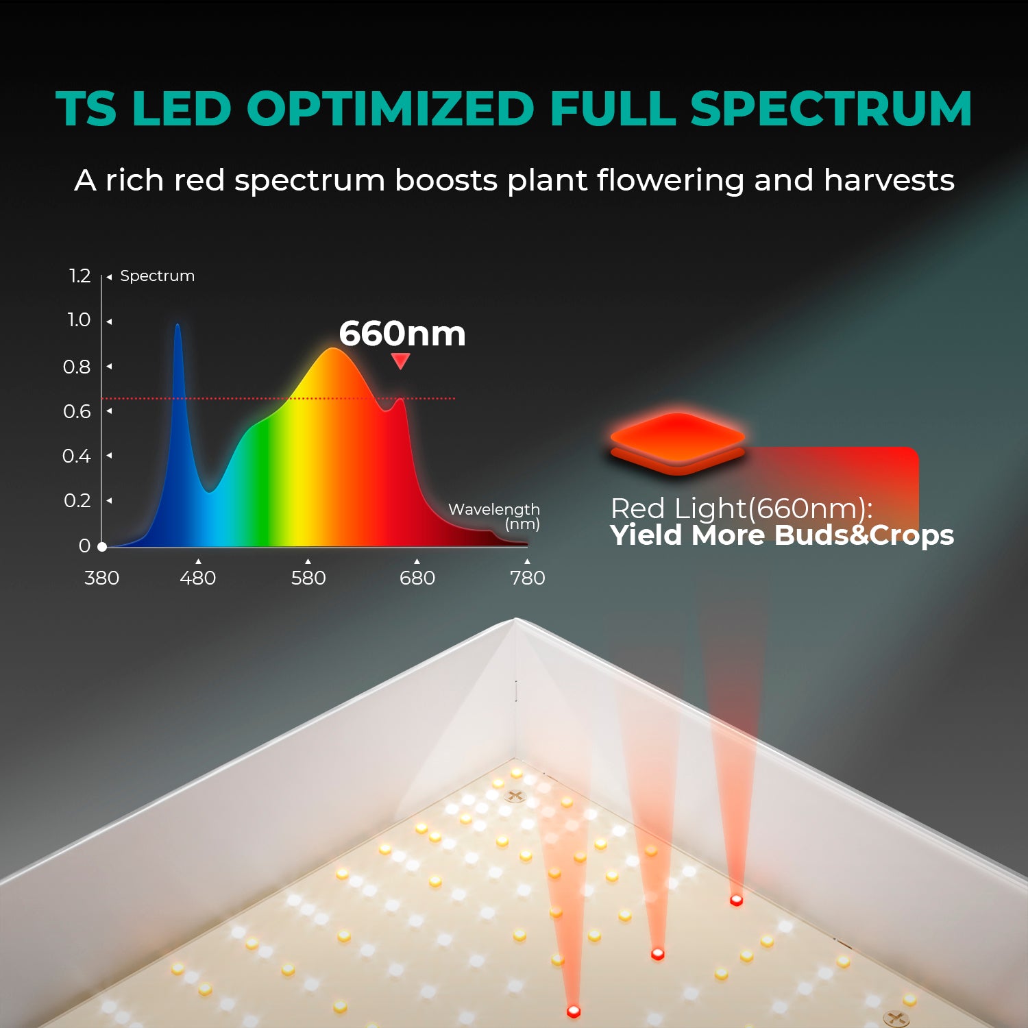 Komplettset (120x60x180 cm) 300 Watt LED