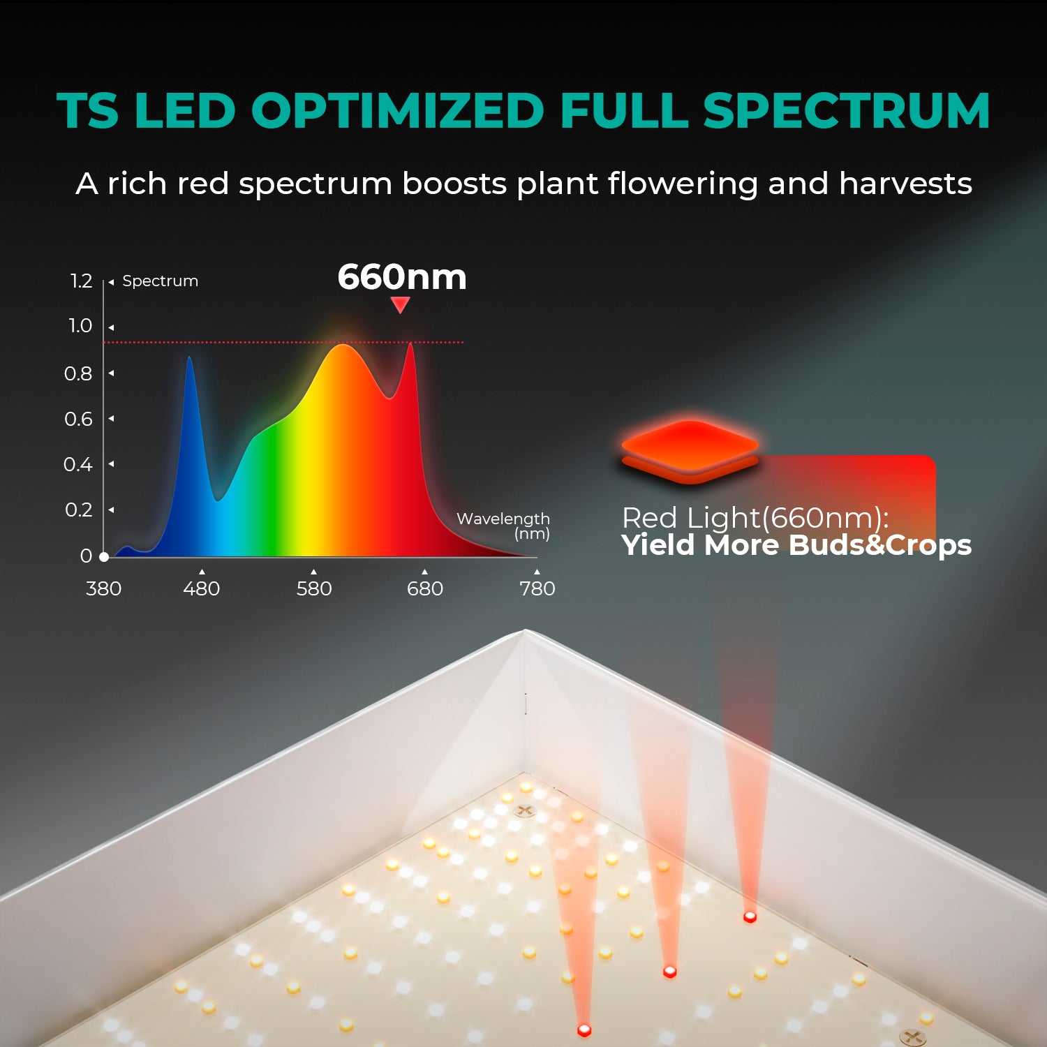 Komplettset (120x120x200 cm) 300 Watt LED