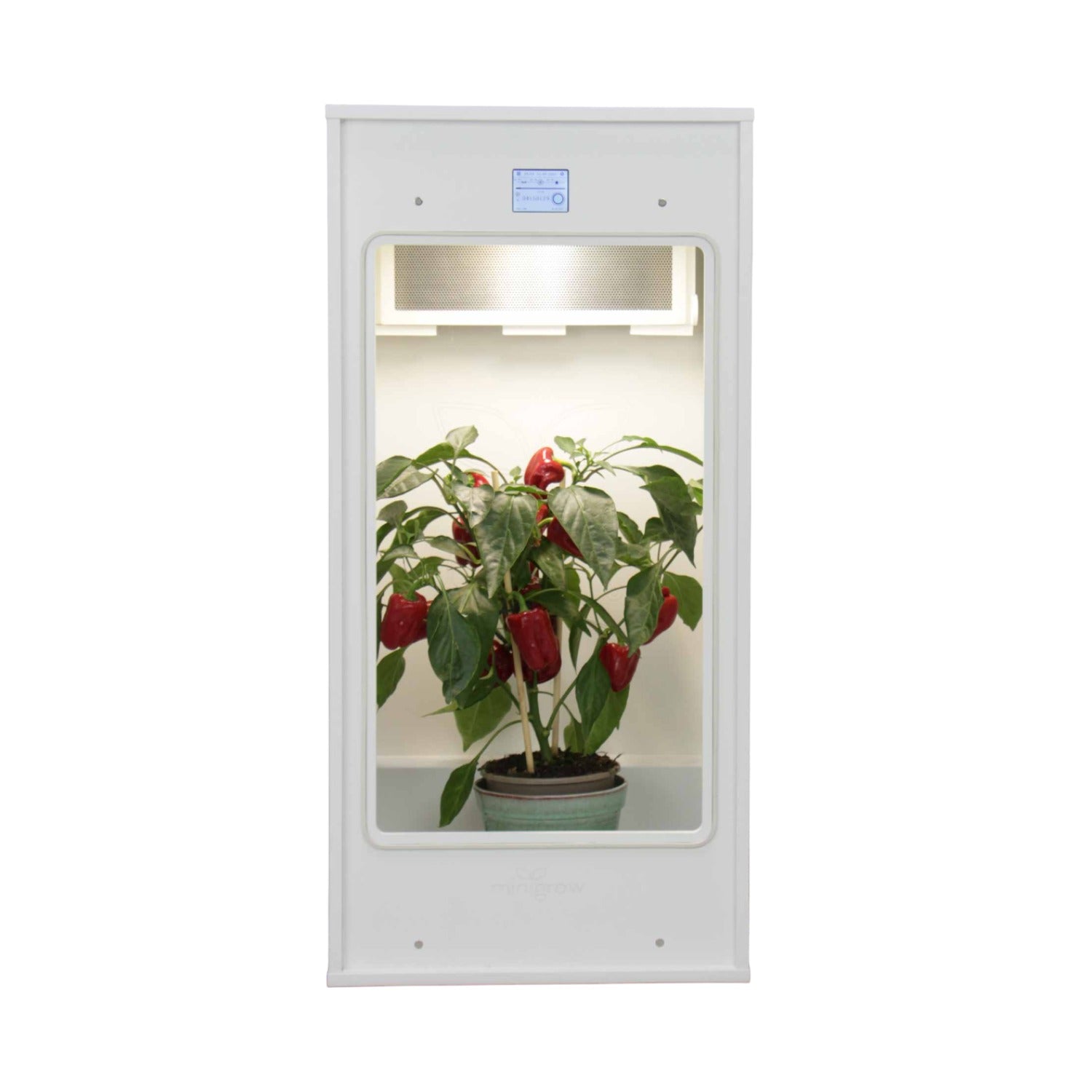 Minigrow One Komplettset (36×38×69 cm) mit 102 Watt LED und smarter Steuerung