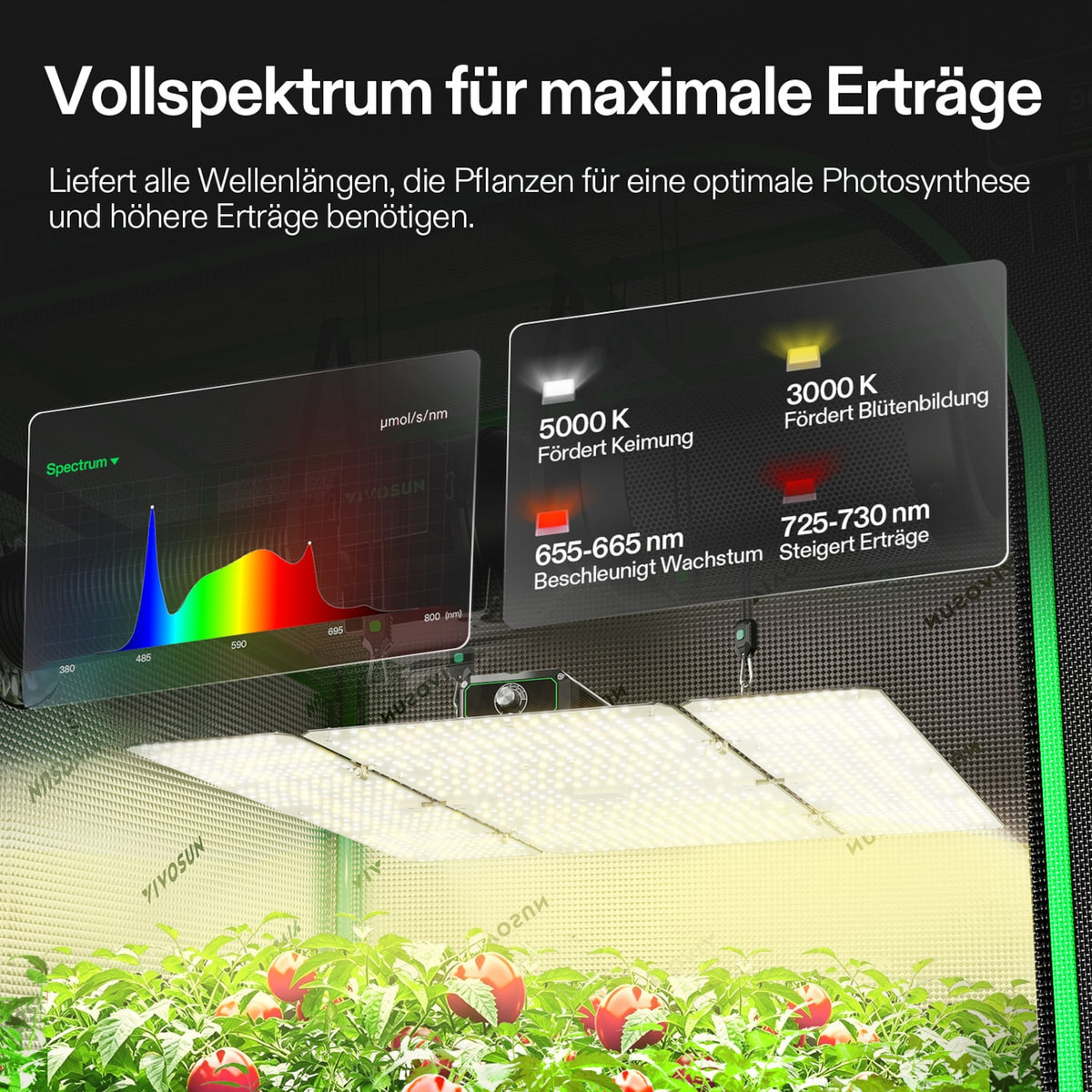 VIVOSUN AeroZesh G6 Abluftset und GrowHub E42A+