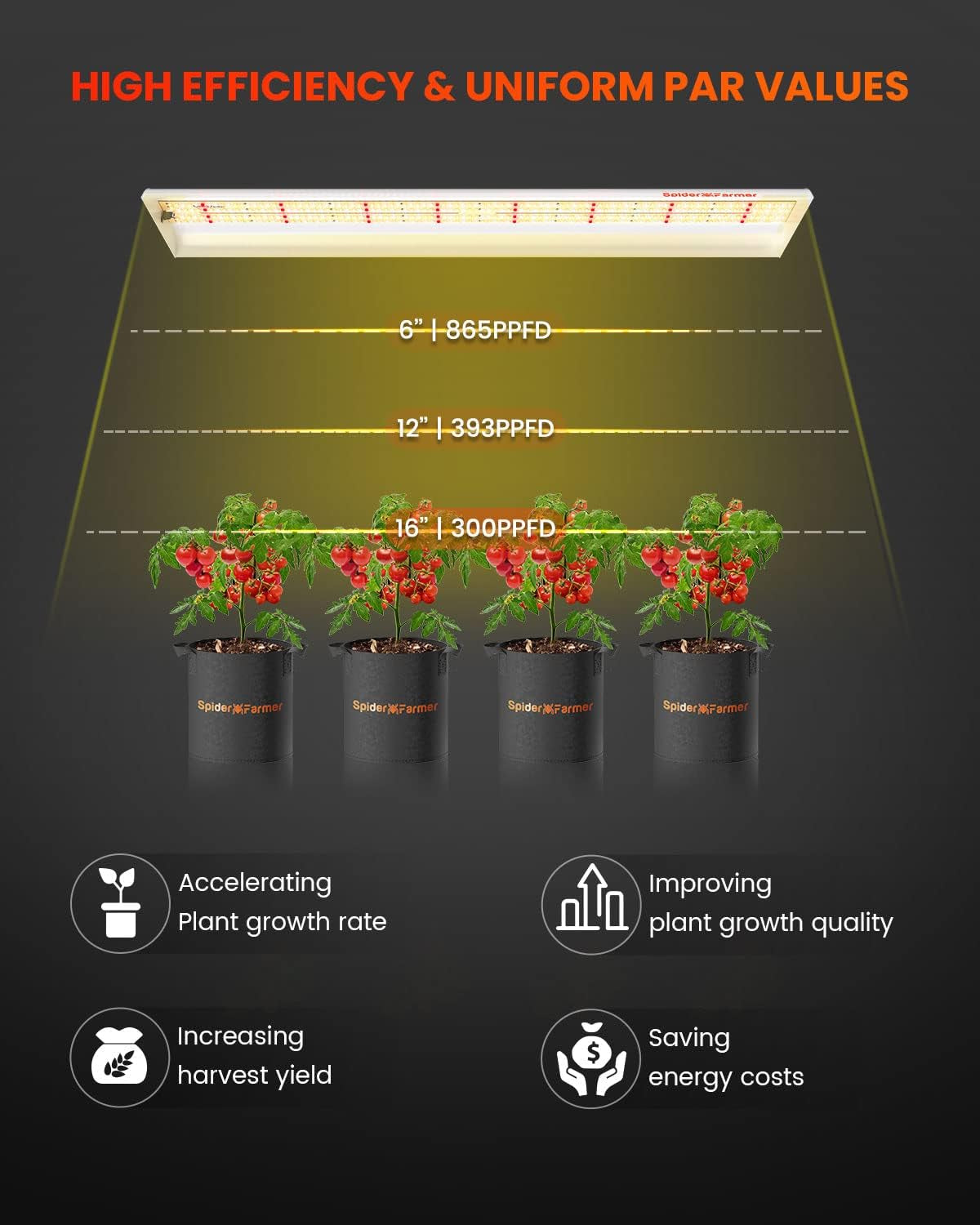 SF600 LED 74 Watt