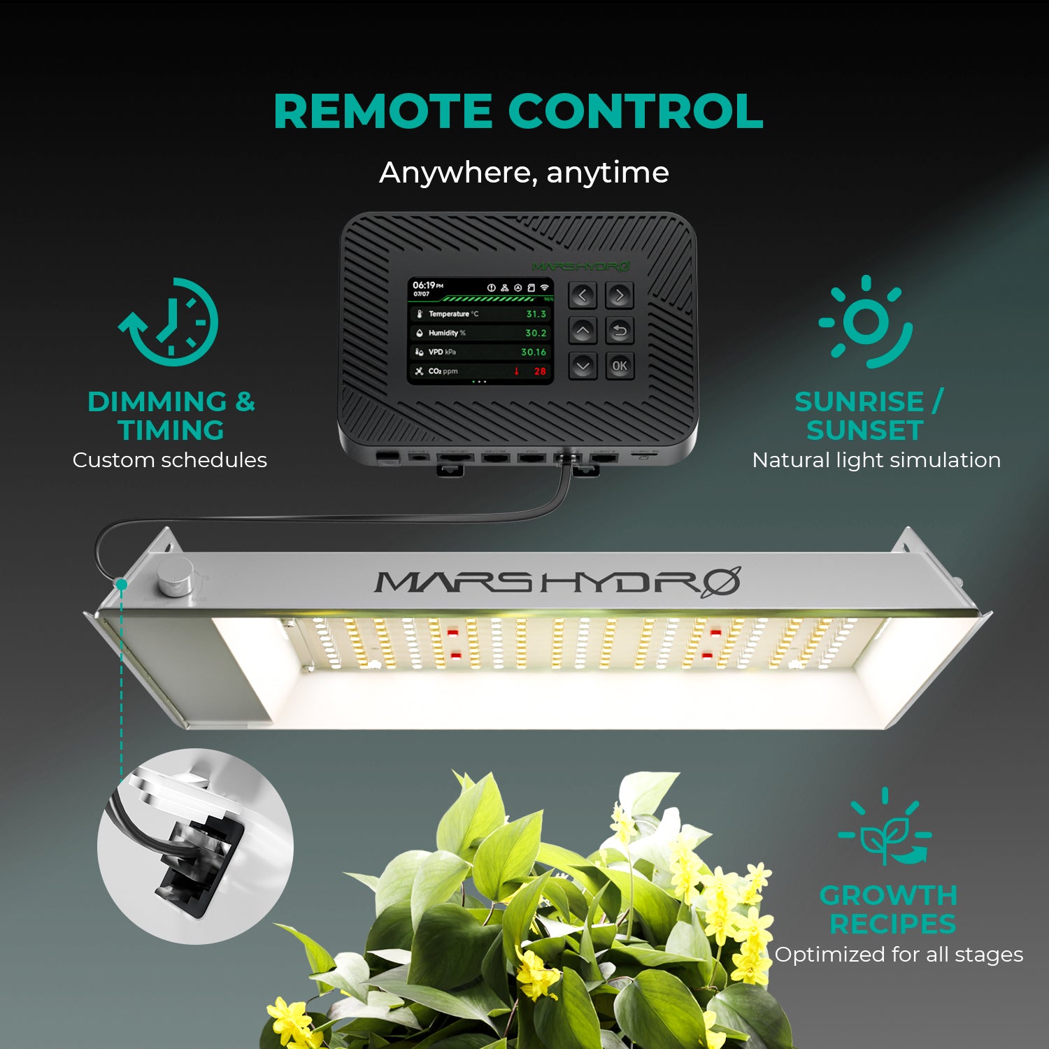 TS 600 LED 100 Watt