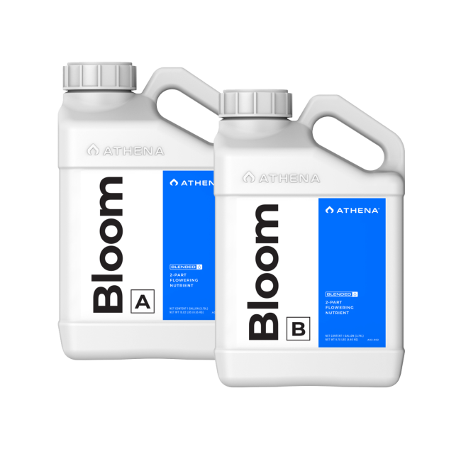 Athena Bloom A+B – 2-Komponenten-Blütedünger – 2 × 3,79 L – Produktansicht 1
