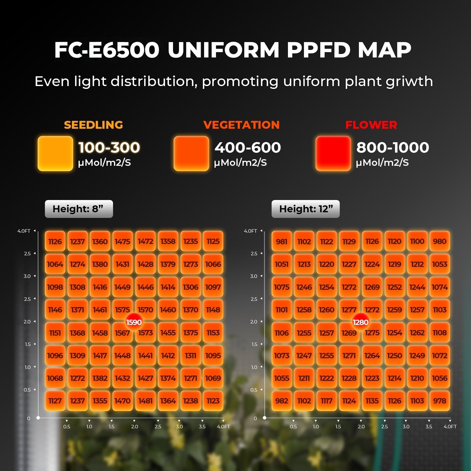 Mars Hydro FC-E6500 LED Grow Light – Bild 3