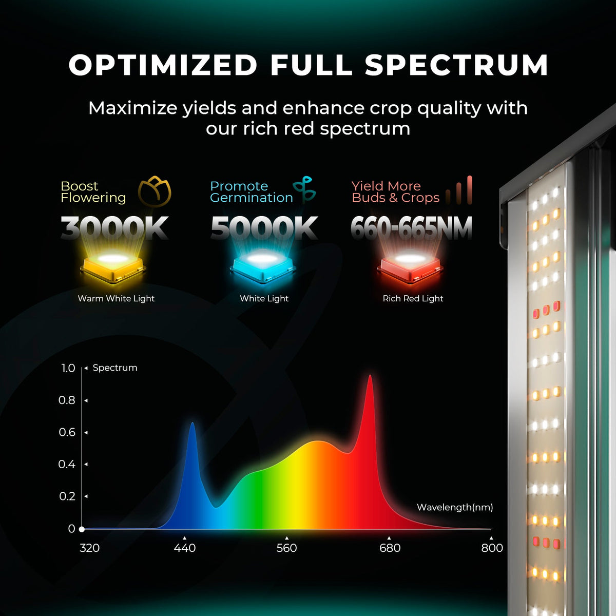 Mars Hydro FC1200W LED Grow Light – Bild 3